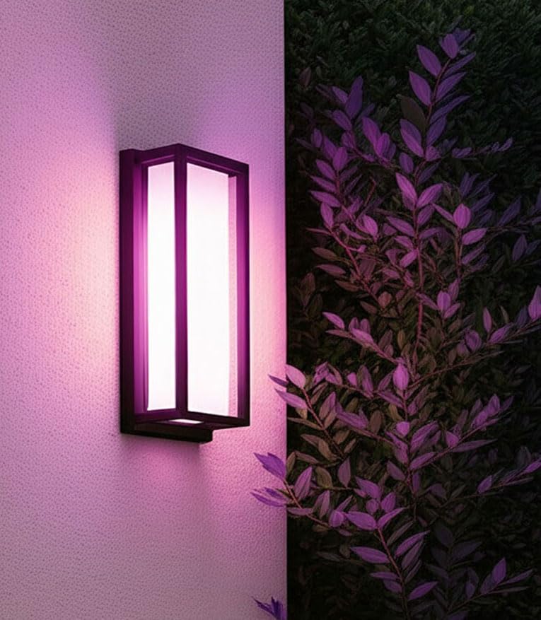 RAYVO Outdoor Wall Light, 1500LM RGBCW Smart Porch Lights Color Changing Exterior Lighting Fixtures, IP65 Waterproof Outdoor Sconce Lights for House Compatible with Alexa Google Assistant, ETL Listed customer photo 1