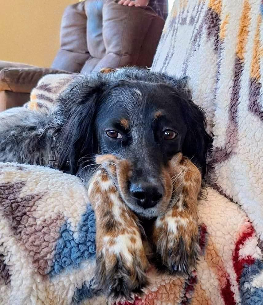 VIMTAG 2.5K Cameras for Home Security, 2.4G& 5G Color Night Vision Security Camera Indoor Outdoor for Baby Pet Dog Cat with Phone APP, Motion Detection 2-Way Audio, Work with Alexa,Cloud, 2 Pack customer photo 1