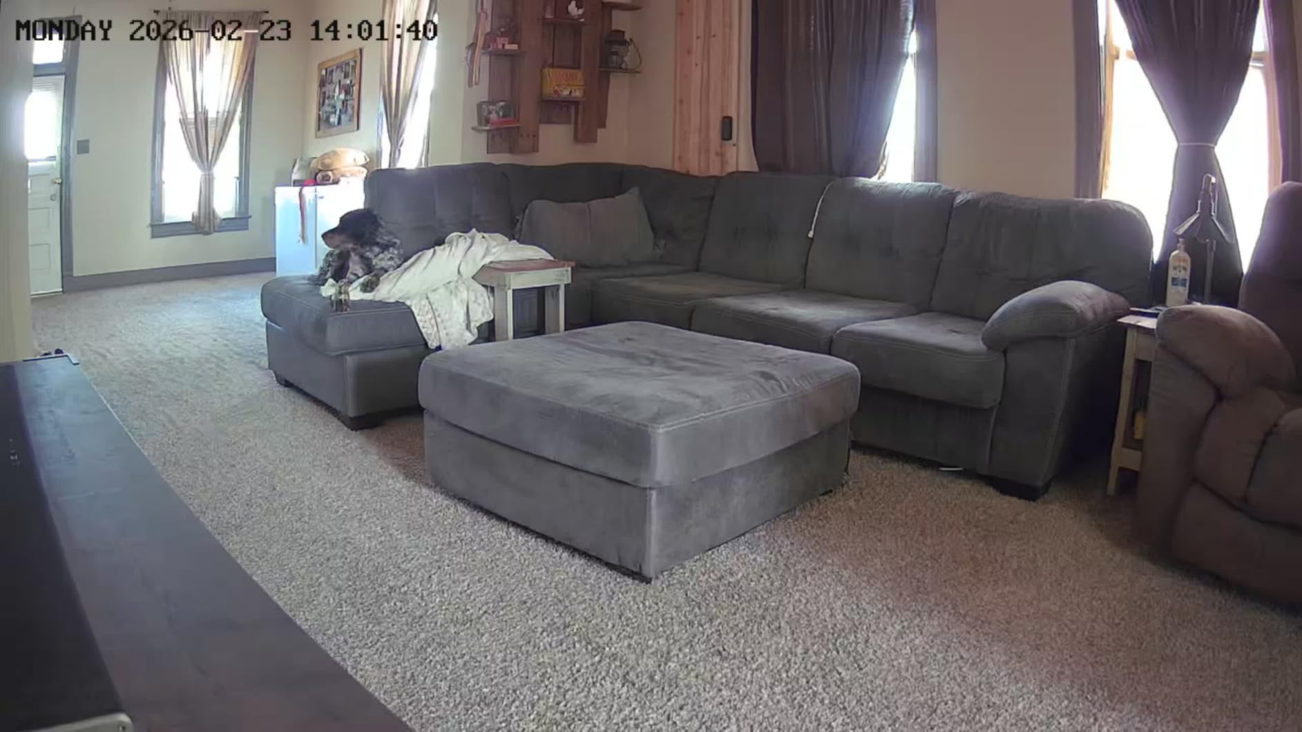 VIMTAG 2.5K Cameras for Home Security, 2.4G& 5G Color Night Vision Security Camera Indoor Outdoor for Baby Pet Dog Cat with Phone APP, Motion Detection 2-Way Audio, Work with Alexa,Cloud, 2 Pack customer photo 2