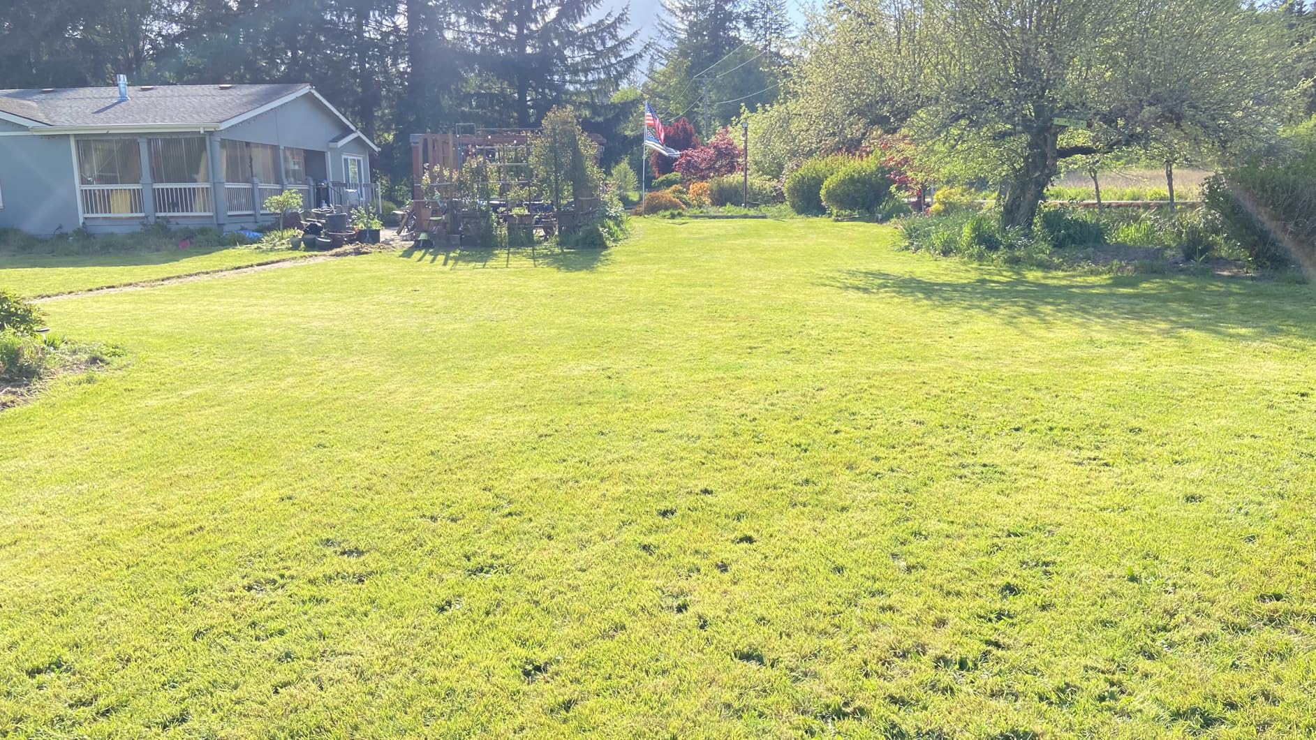 T1200Pro Robot Lawn Mower Wire Free, RTK+Vision Ride-on Edge Mapping Mowing for 0.37 Acre Yard, AI Obstacle Avoidance, APP Multi-Zone Management, Automatic Robotic Lawnmower Handle 24° Slope customer photo 2