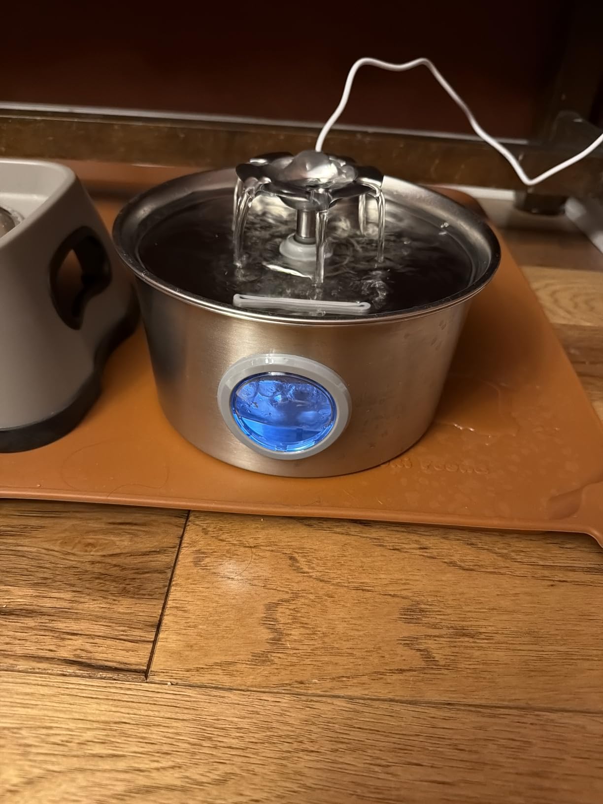 Stainless Steel Cat Water Fountain: 88oz/2.6L Ultra Quiet Pet Fountain with Flower Kitty Spout & LED Blue Light Water Dispenser with Water Level Window for Cats/Dogs Indoor (Silver) - IHOUONE customer photo 1
