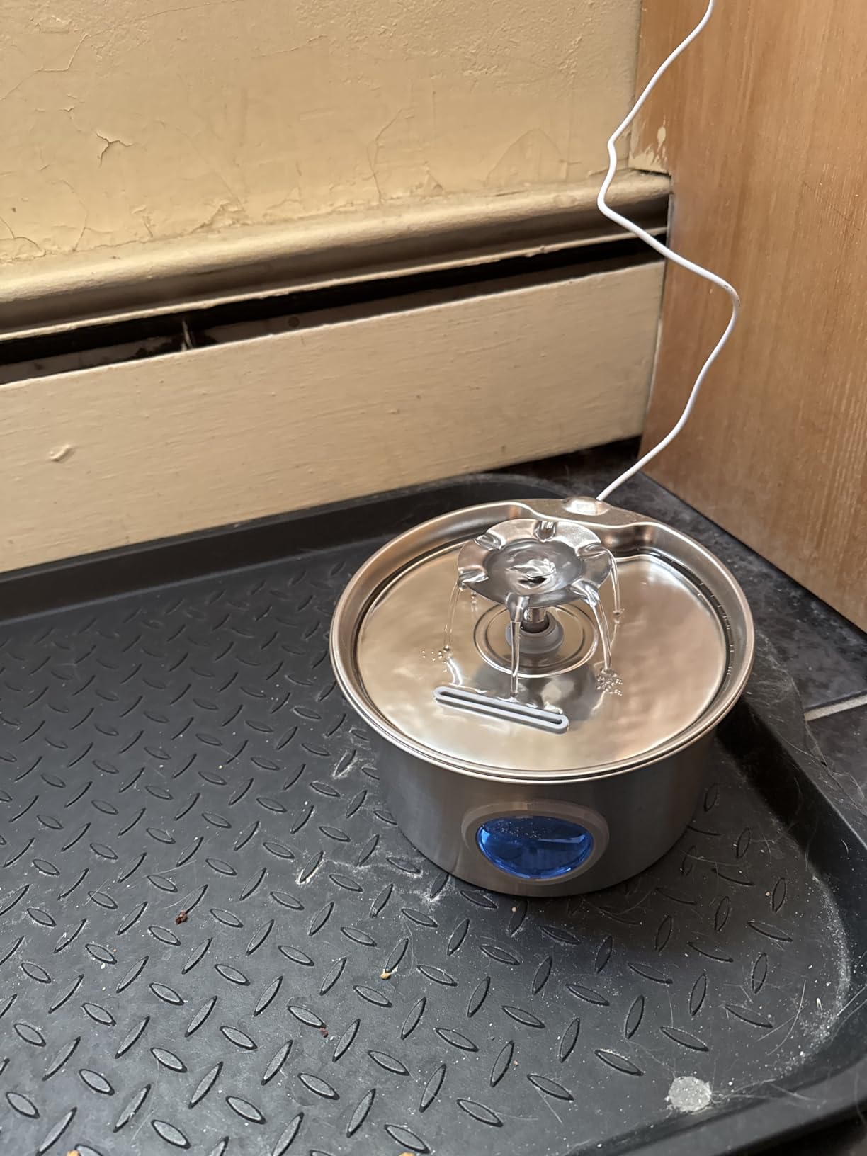 Stainless Steel Cat Water Fountain: 88oz/2.6L Ultra Quiet Pet Fountain with Flower Kitty Spout & LED Blue Light Water Dispenser with Water Level Window for Cats/Dogs Indoor (Silver) - IHOUONE customer photo 2