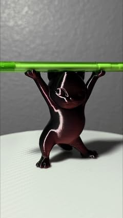 Fully Assembled Mini 3D Printer for Kids & Beginners - Complete Starter Kit with Auto Leveling 3D Printing Machine, 1 Roll of Filament, and SD Card, High-Speed 250mm/s, High Precision, for School Home customer photo 2