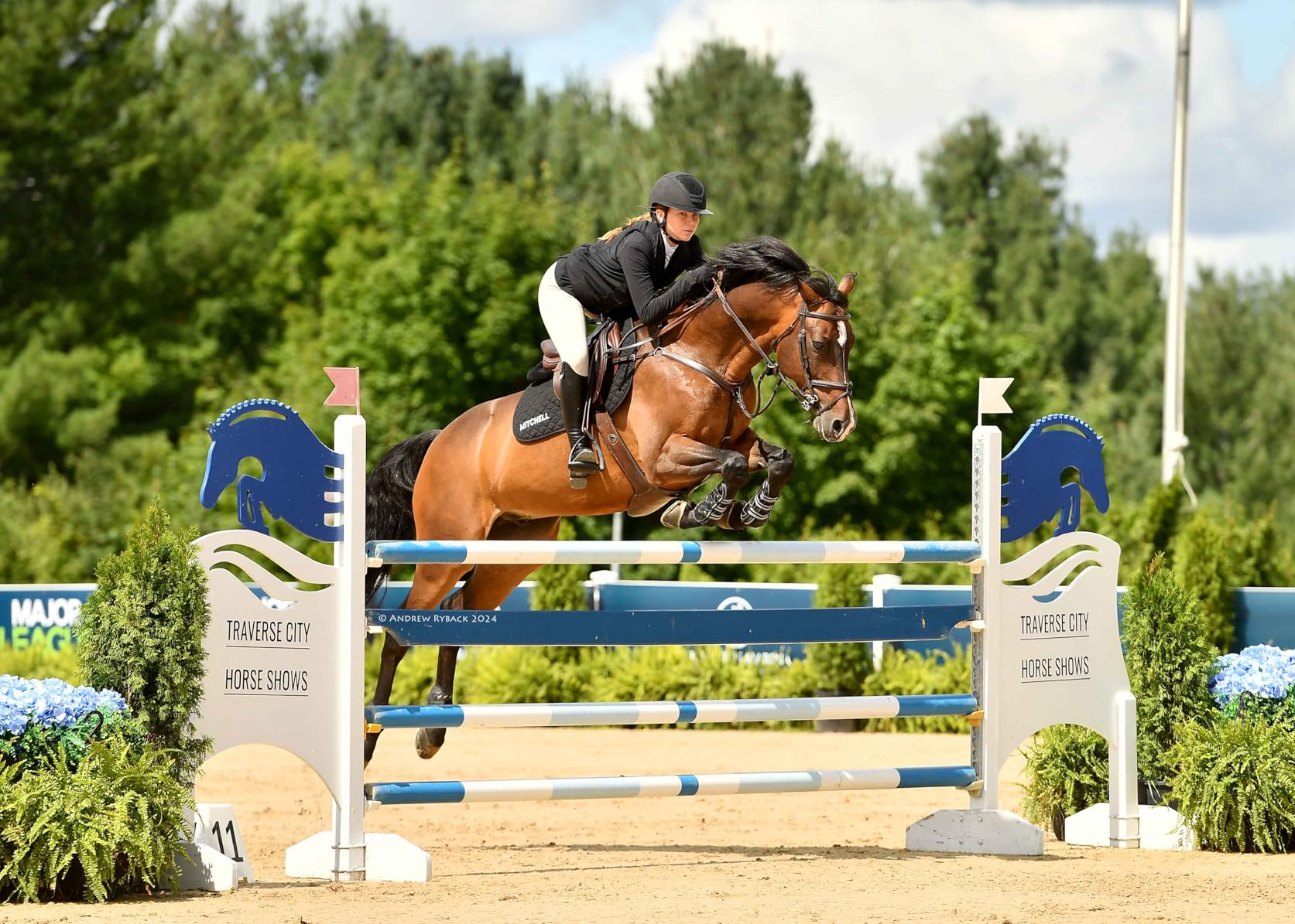 Off Road Electric Scooter Long Range, Fast Electric Scooter 30 Mph Speed, Heavy Duty 300+ lb Capacity & Dual Suspension customer photo 1