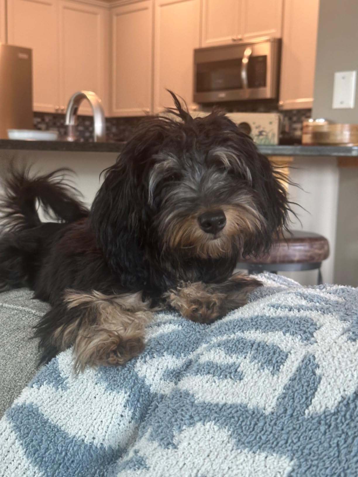 BarxBuddy 2nd Gen Dog Bark Deterrent Devices | Long Range Ultrasonic | Bark Collar Alternative | Dog Training Indoor/Outdoor | Rechargeable Anti Bark Device for Dogs (Black) customer photo 2