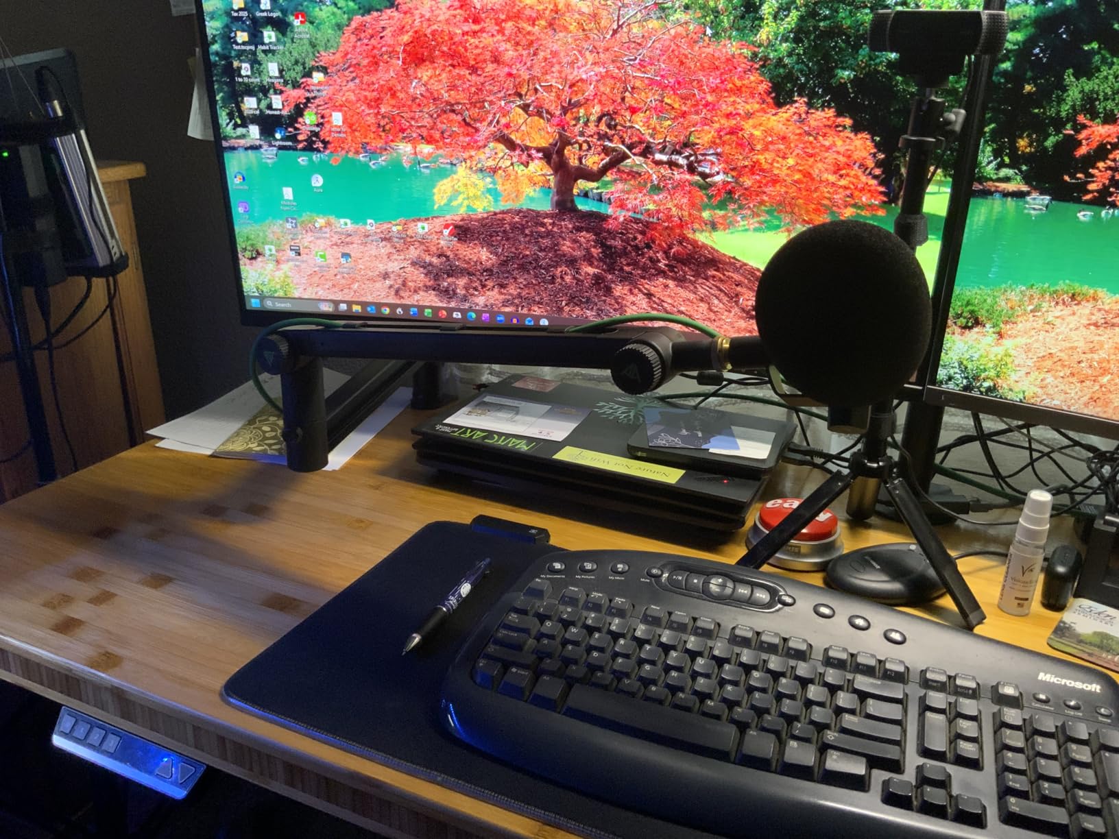 Low Profile Boom Arm (Design for Heavy Mic) 6.6lbs Load Capacity, Stable Gear Lock Structure Never Sags, Metal Microphone Stand Desk Mount for Shure SM7B MV7+, Blue Yeti,Rode PodMic customer photo 2