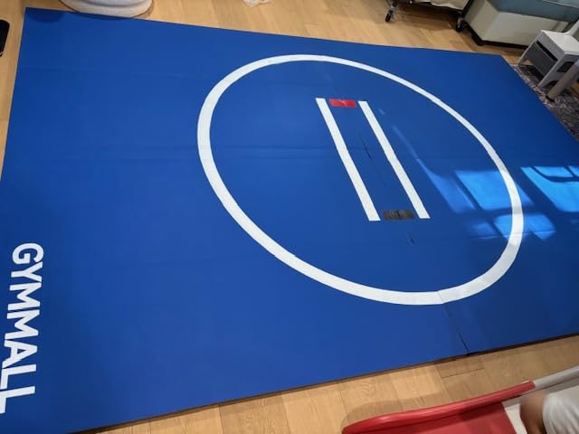 Wrestling Mat 10'x10'/6.6'x10' for Home Outdoor Indoor, 1.2