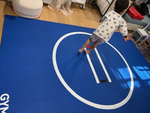 Wrestling Mat 10'x10'/6.6'x10' for Home Outdoor Indoor, 1.2