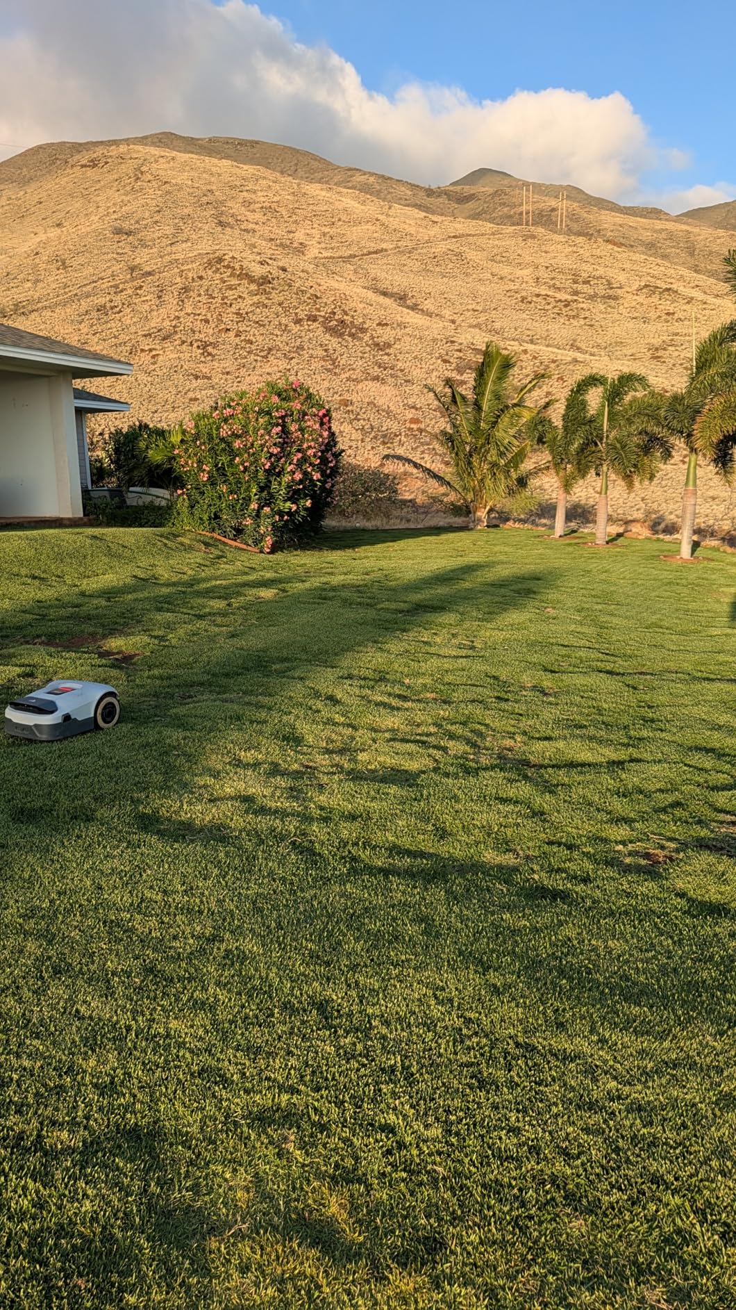 ANTHBOT Genie600 Robot Lawn Mower - NO Wire, Full Band RTK+4-Eye Vision Robotic Lawnmower for 1/4 Acre, Auto Mapping, Multi-Zone Management, Accurate Obstacle Avoidance, Intelligent Path Planning customer photo 2