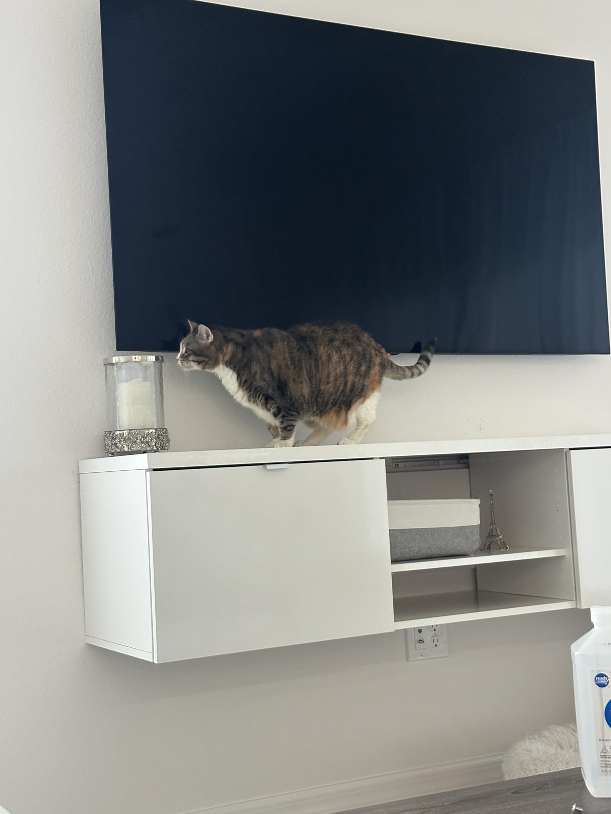 Automatic Litter Box, Self Cleaning Litter Box, Odor Control, 90L Large Capacity with APP Control and Safety Sensor, Ellenpent, for Multiple Cats, Large Cat, with 3 Rolls Garbage Bags customer photo 2