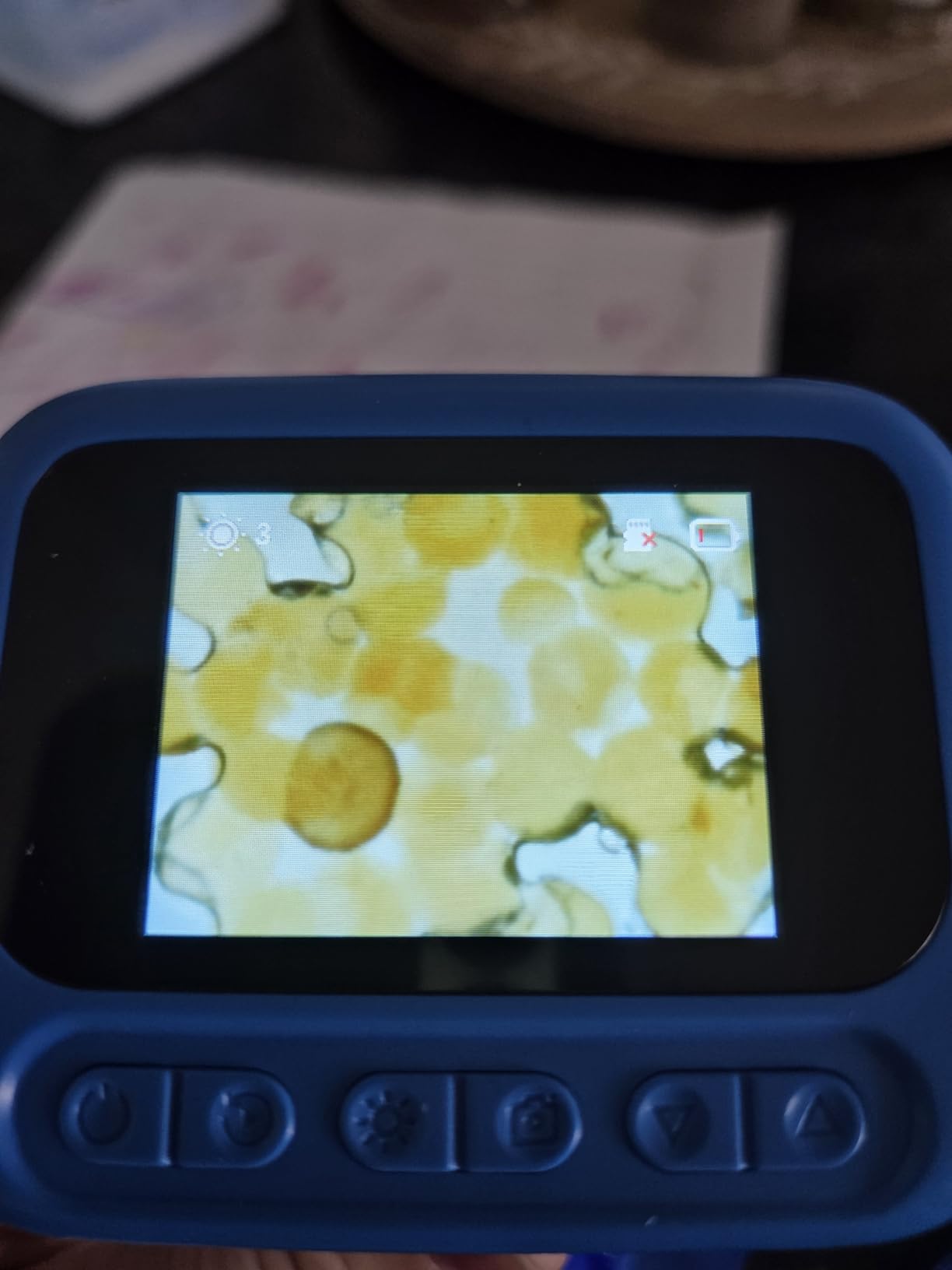 Microscope for Kids with 12 Slides, 100X-1000X 1080P Digital Handheld Kids Microscope, Mini Portable Pocket Miniscope Science Toys Gifts for 3+ 4 5 6 7 8 9 10 11 12 Year Old Boys Girls, Blue customer photo 1