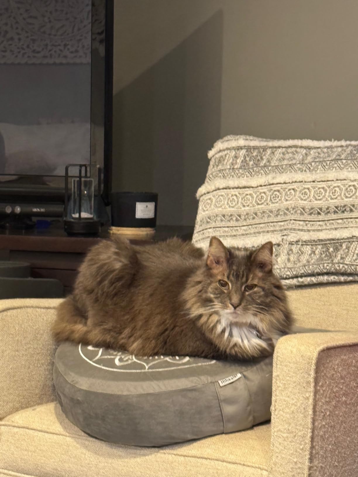 Hihealer Meditation Cushion Set - Large Rose Velvet Zafu & Zabuton Floor Pillow Traditional Tibetan Yoga Bolster for Adults Buckwheat Filled for Comfort Support customer photo 2