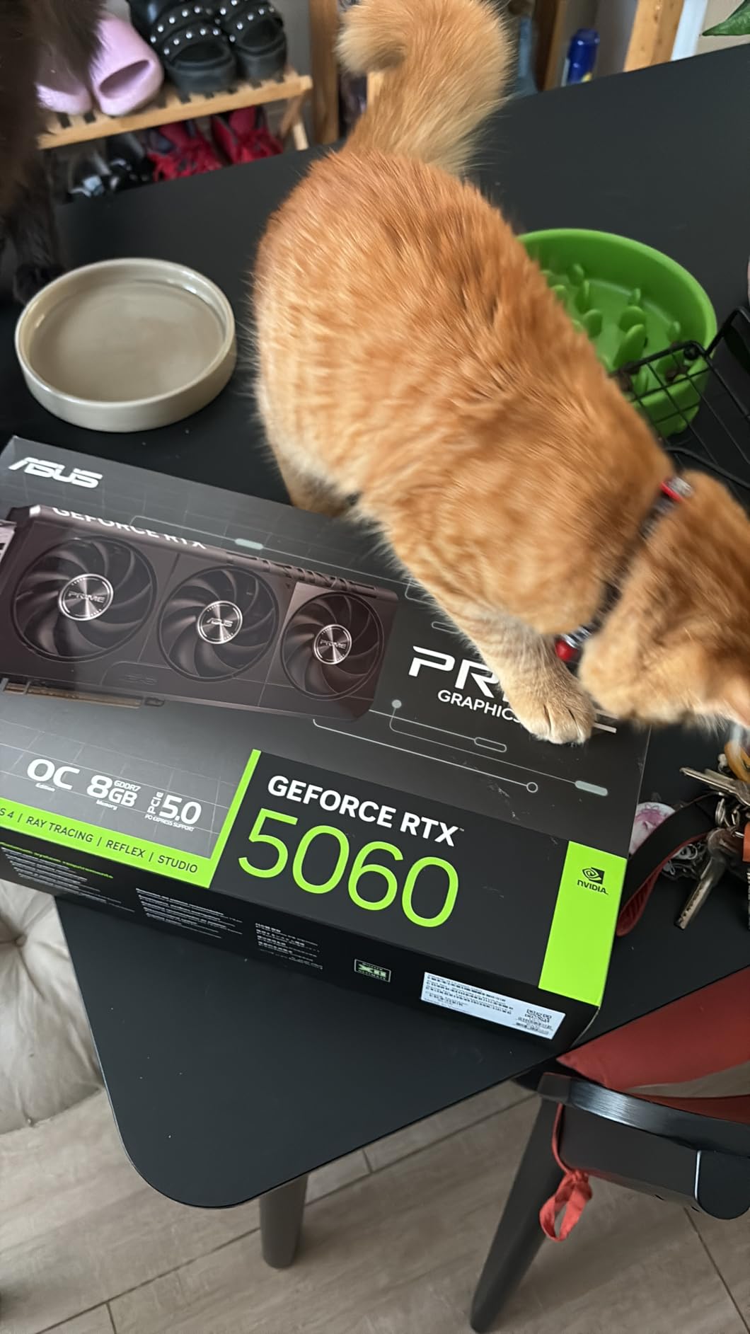 ASUS The SFF-Ready Prime GeForce RTX 5060 8GB GDDR7 OC Edition Graphics Card (PCIe 5.0, 8GB GDDR7, HDMI/DP 2.1, 2.5-Slot, Axial-tech Fans, Dual BIOS) customer photo 1