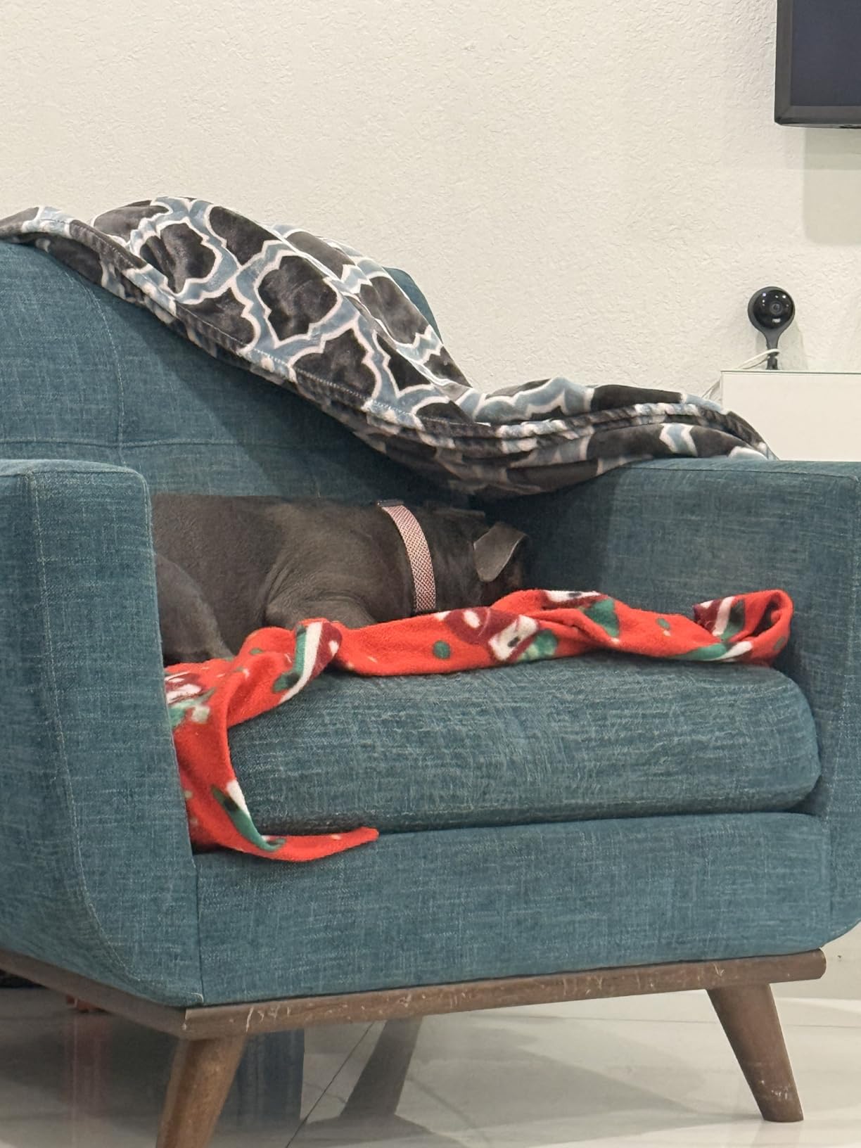 Dog Bark Deterrent Device, 3X Ultrasonic Anti Barking, 6 Training Modes 23 FT Range Barks No More Indoors Outdoors Behavior Correct Safe & Humane Rechargeable Compact Bark Control for Dogs customer photo 2