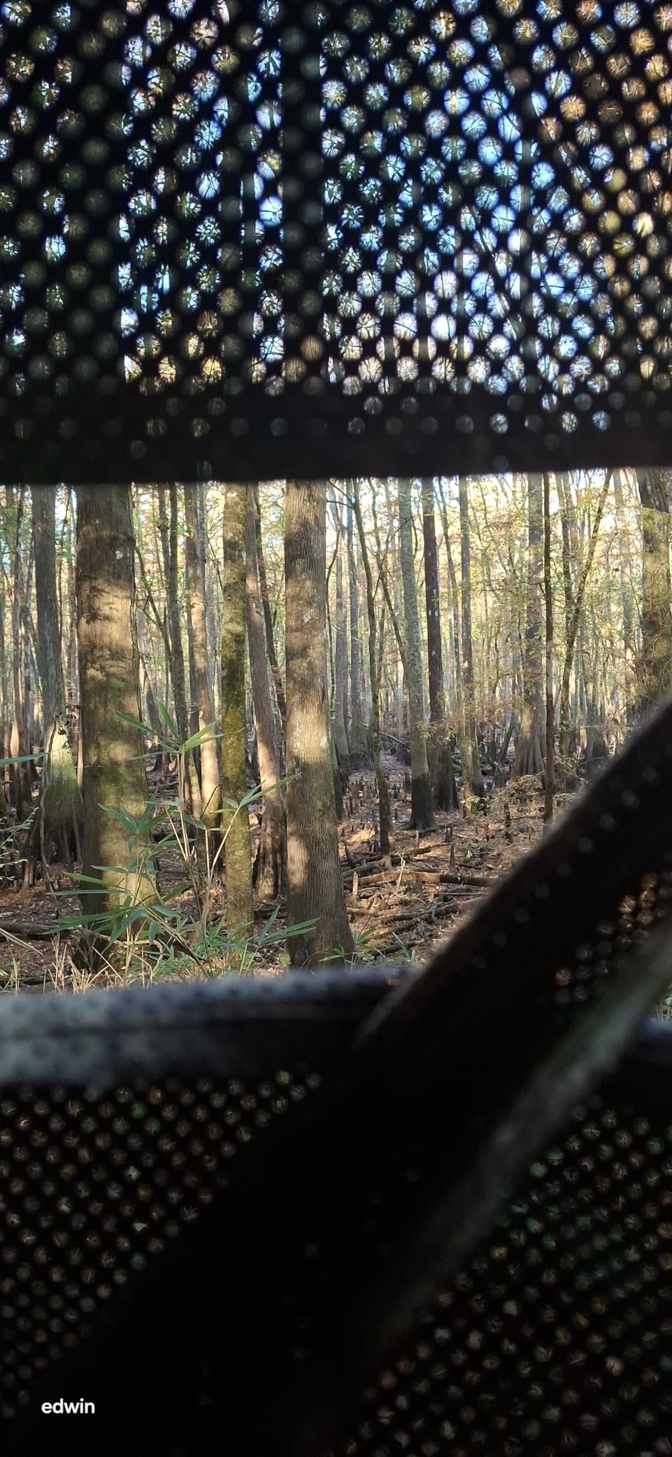 TIDEWE Hunting Blind 270°Full See Through with Windproof Curtain, Silent Magnetic Door & Sliding Windows, 2-3 Person Pop Up Ground Blind with Carrying Bag, 300D Portable Tent customer photo 2