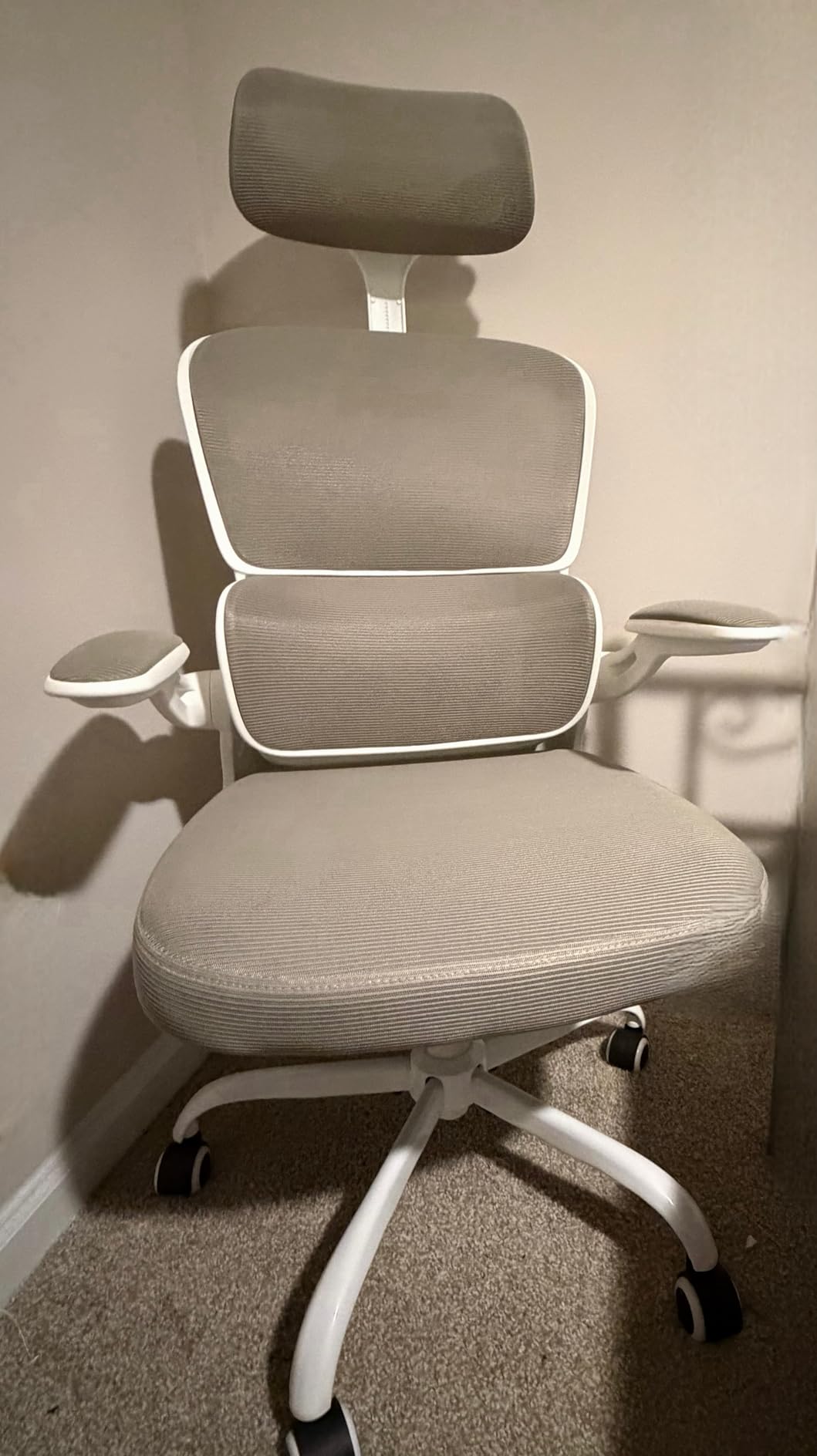 High Back Ergonomic Office Chair, Breathable Mesh Desk Chair with Lumbar Support, Adjustable Headrest, Flip-up Armrests, Computer Gaming Chair, (Black, 1Pack) customer photo 2