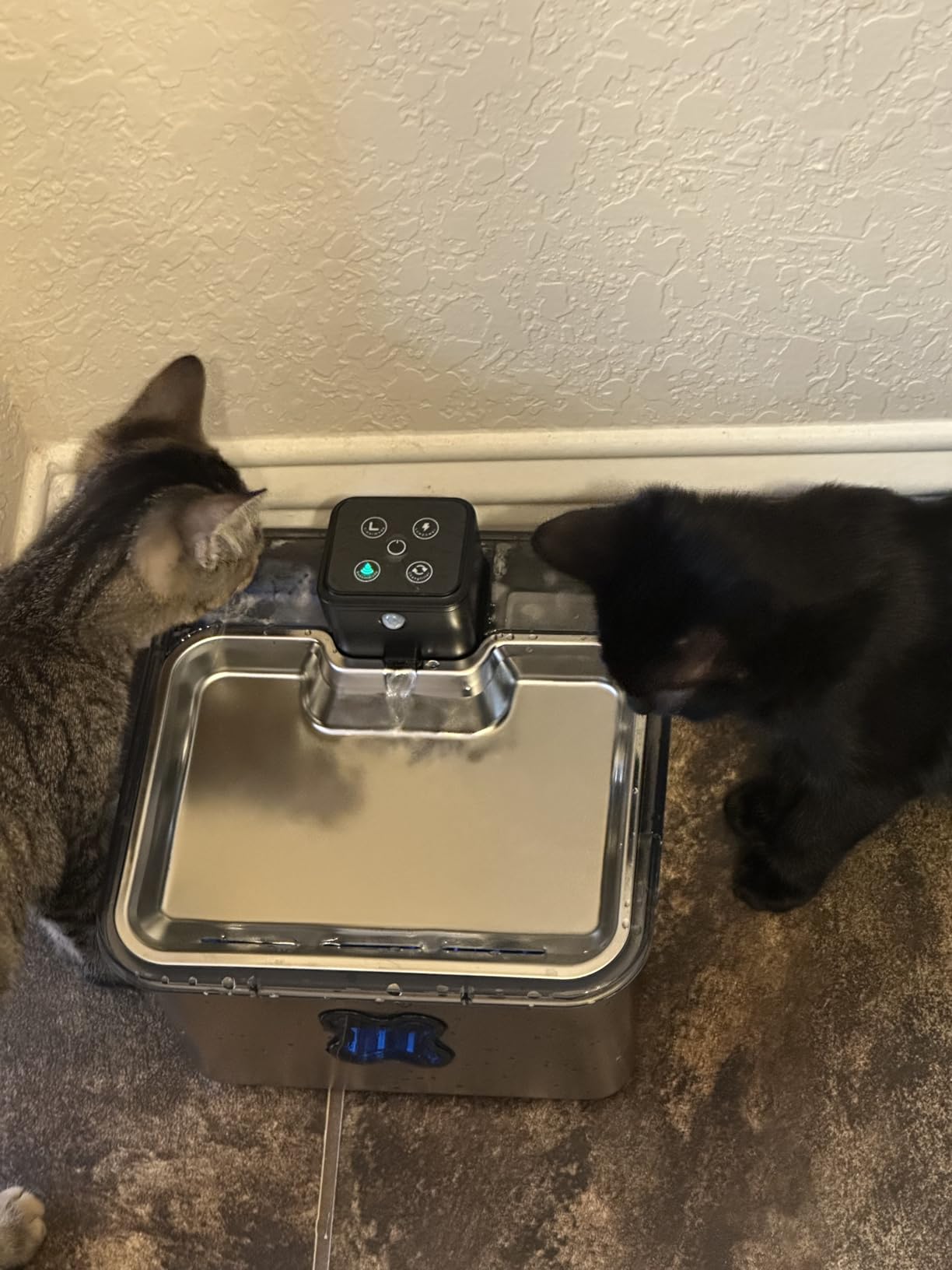 Cordless Cat Water Fountain : [Visual Filter] & [Heavy-Duty Stainless Steel] 3.2L/108oz, FEELNEEDY- Premium, Durable Design, 4000mAh Battery Operated Pet Fountain with Sensor, FN-W17 for Cats and Dogs customer photo 1
