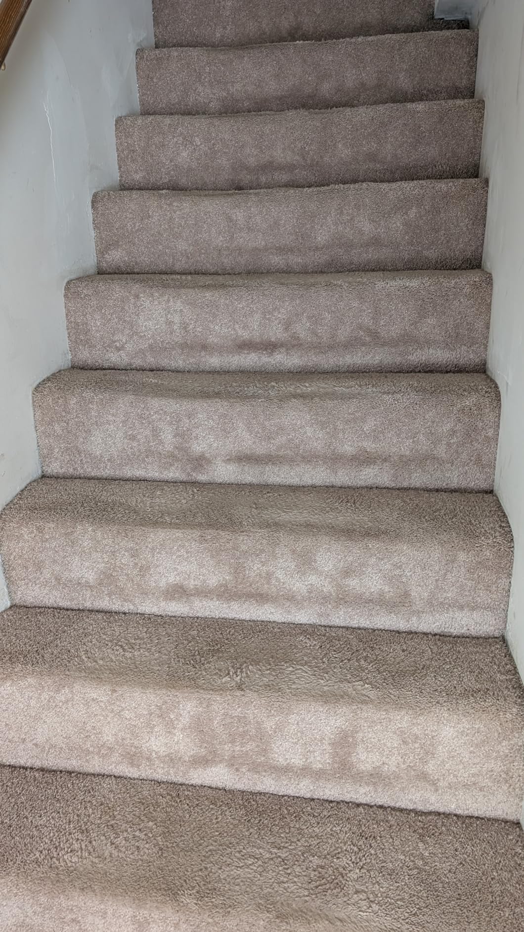 Shark PowerPro Reveal Plus Cordless Vacuum, FloorDetect & Dirt-Reveal Technology, HEPA Filter, Carpet & Hard Floor, Rechargeable, Charcoal, IZ376H customer photo 1