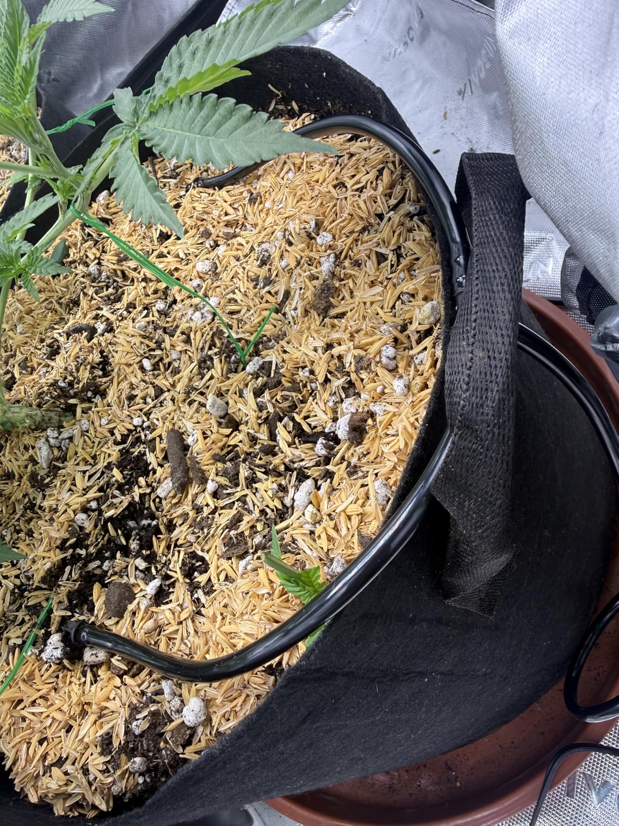 VIVOSUN Automatic Drip Irrigation Kit, Smart Watering System with 16 Drip Emitters, 4mm Fast Flow, App-Controlled A10 GrowHub, Quiet 15W Pump, Anti-Siphon & Filtered for Indoor & Outdoor Plants customer photo 1