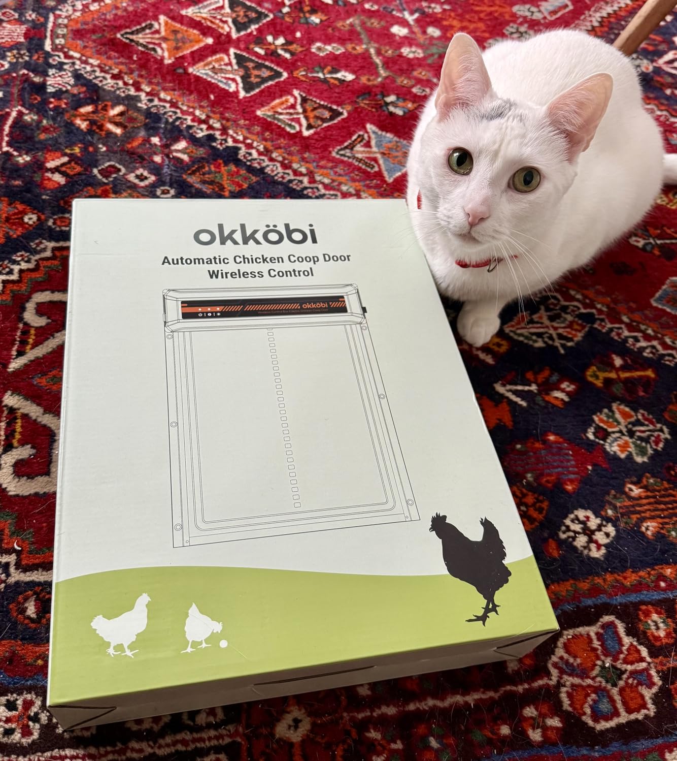 Extra Large Automatic Chicken Coop Door Solar Powered with Remote - LCD Display, Light Sensor, Timer & Anti-Pinch Function - 11.3