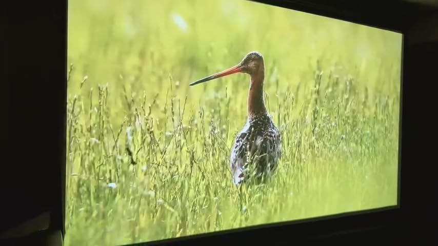 1500 ANSI Official Licensed Google TV Smart Projector, HAPPRUN 4K Full HD Home Theater with Auto Focus, Dolby Sound, Wi-Fi Bluetooth, Built-in Apps, Compatible with Phone & PC, Indoor & Outdoor Use customer photo 1