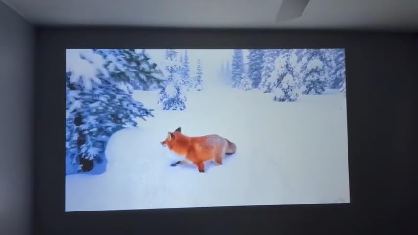 1500 ANSI Official Licensed Google TV Smart Projector, HAPPRUN 4K Full HD Home Theater with Auto Focus, Dolby Sound, Wi-Fi Bluetooth, Built-in Apps, Compatible with Phone & PC, Indoor & Outdoor Use customer photo 2