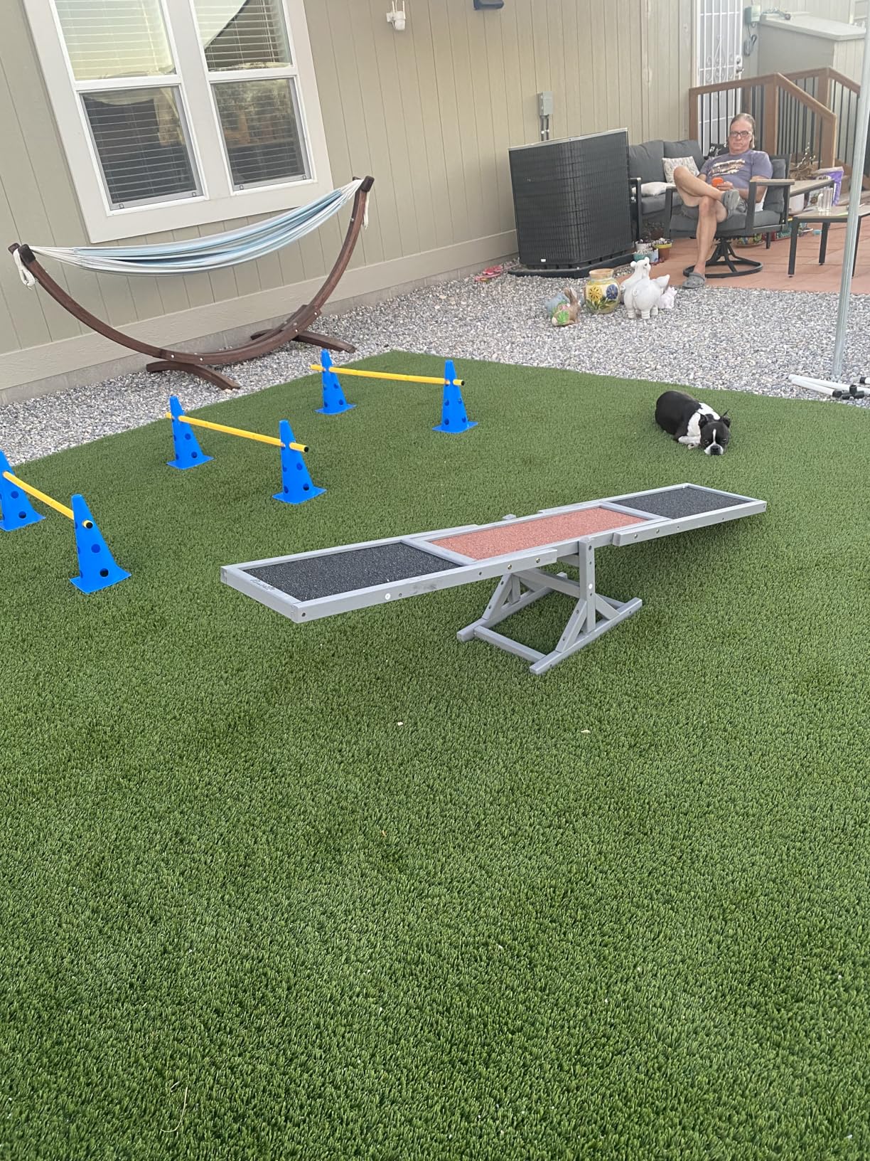 Dog Agility Course Backyard Set, Dog Agility Hurdle Cone Set with Height Adjustable Crossbar for Rehabilitation & Beginners, Dog Agility Equipment for Dog Obstacle Course - 12 Inch customer photo 1