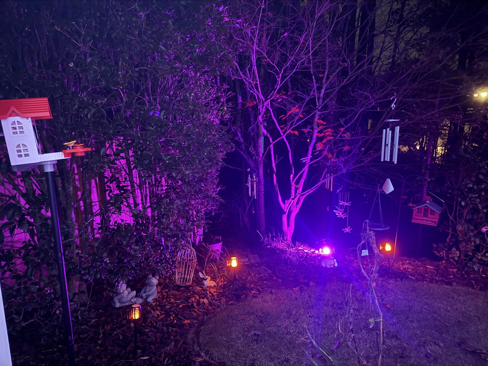 SV3C Bird Feeder with Camera, Smart Bird Feeder Camera with AI Identify BirdSpecies, Solar Powered, Instant Alerts, 2K HD Video, Various DIY Addons, 2.4G WiFi, Gift for Mom Dad and Birdlover customer photo 1