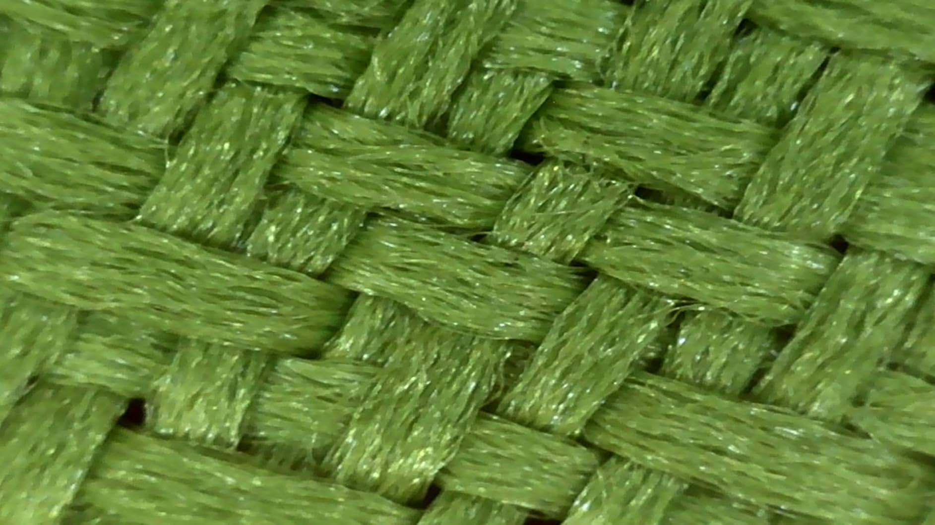 1000X Handheld Digital Microscope for Kids: Pocket Microscope with 2.0