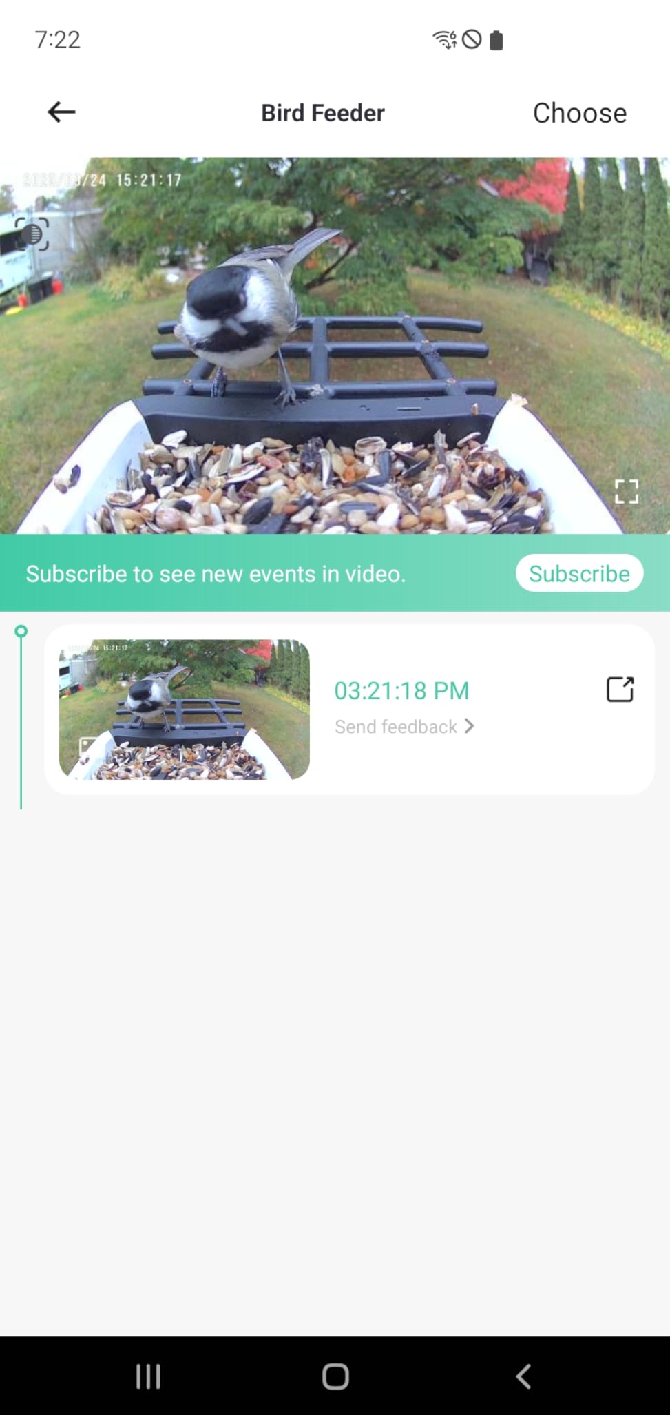 Smart Bird Feeder with Camera - Solar Powered Bird Watching Camera with 2K HD Live View, Auto Capture & AI Identify 10,000+ Species, 2.4G WiFi Outdoor Birdhouse, Ideal Gifts for Bird Lovers customer photo 2