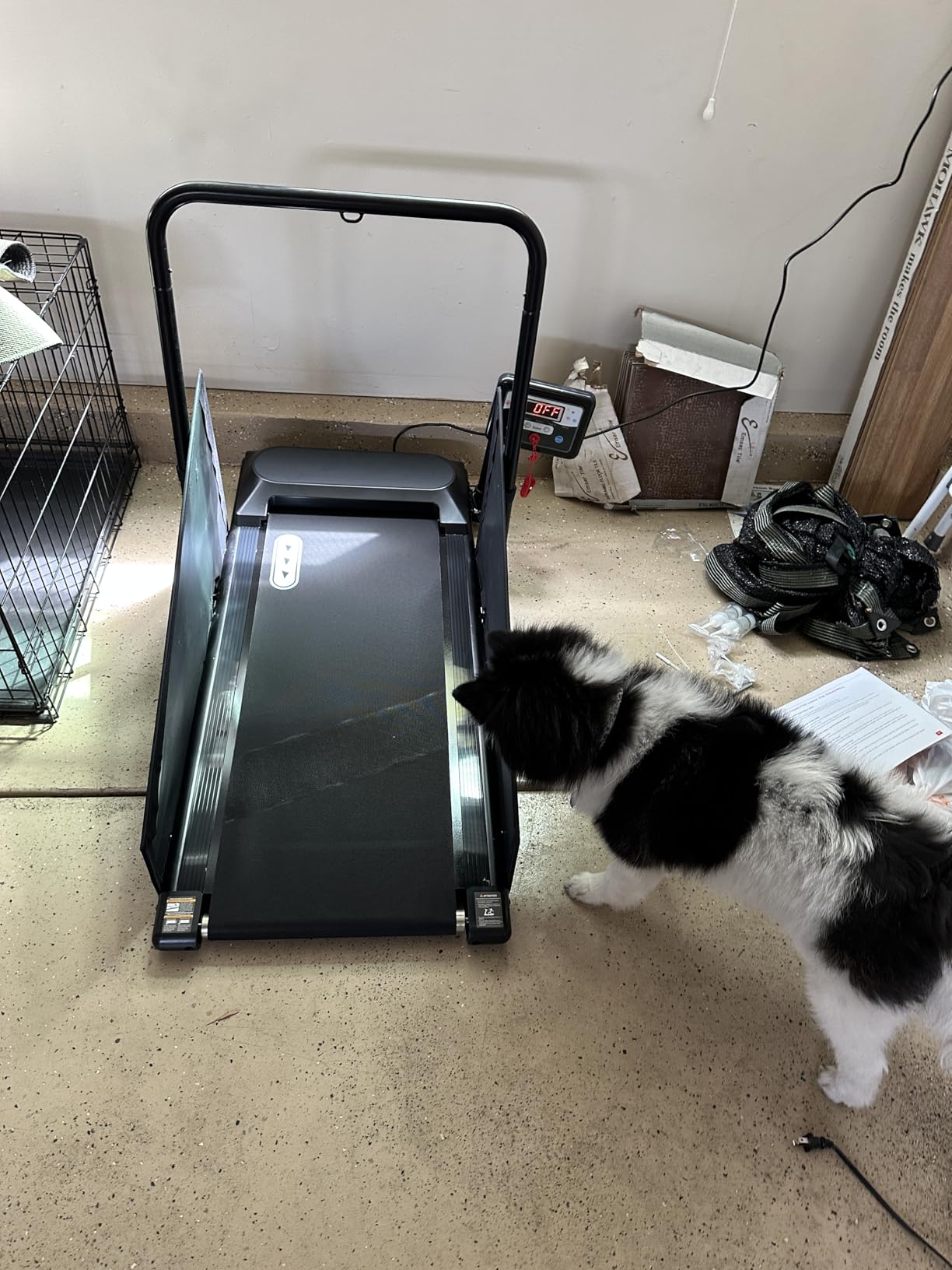 Petbobi Dog Treadmill for Small & Medium Dogs- Quiet Indoor Pet Exercise Machine with 360 Degree Rotatable Display, Remote Control & Wheels, Heavy-Duty 265 lbs Capacity for Fitness & Weight Management customer photo 2