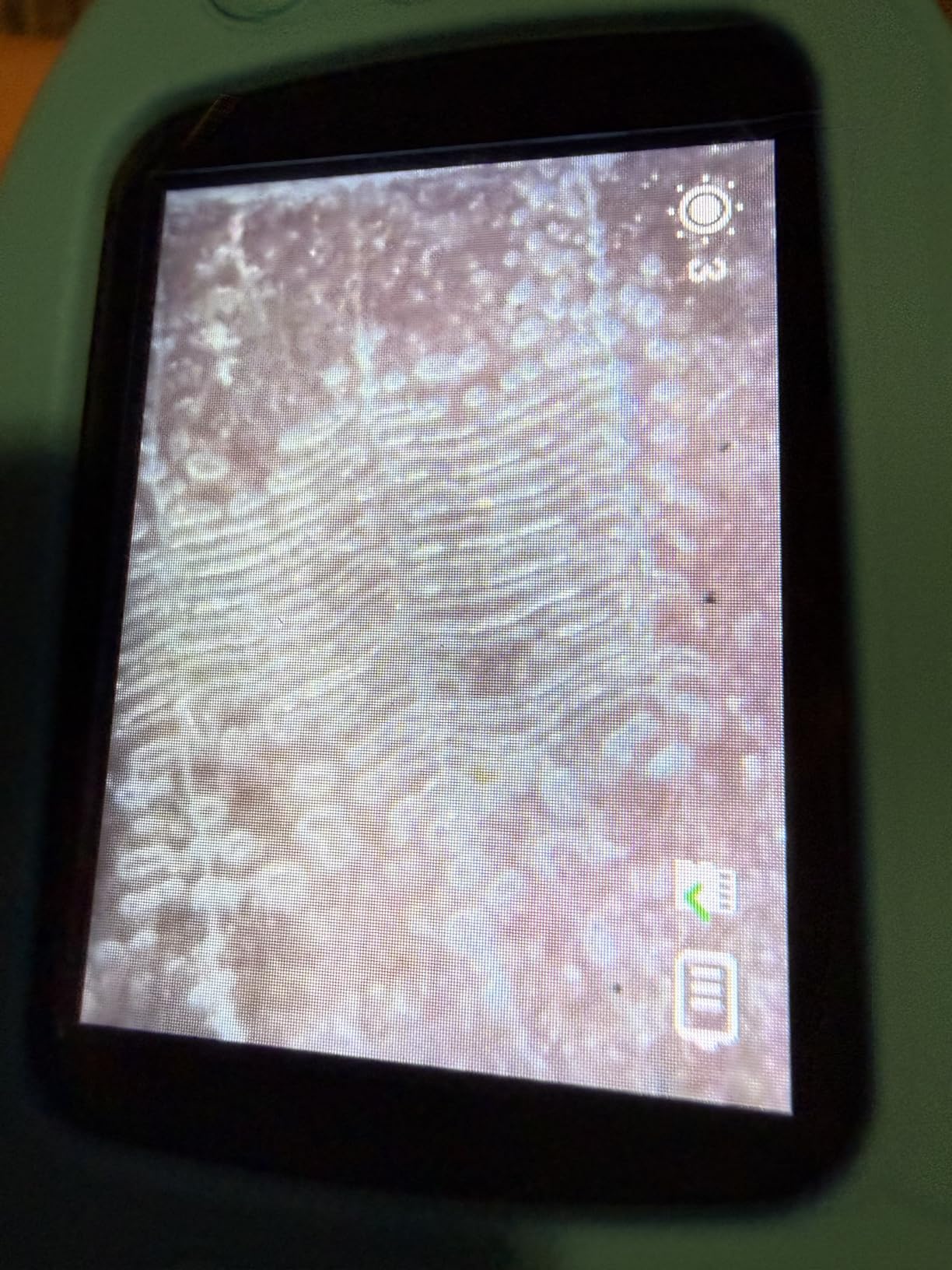 1000X Handheld Microscope for Kids, 4K 2.4