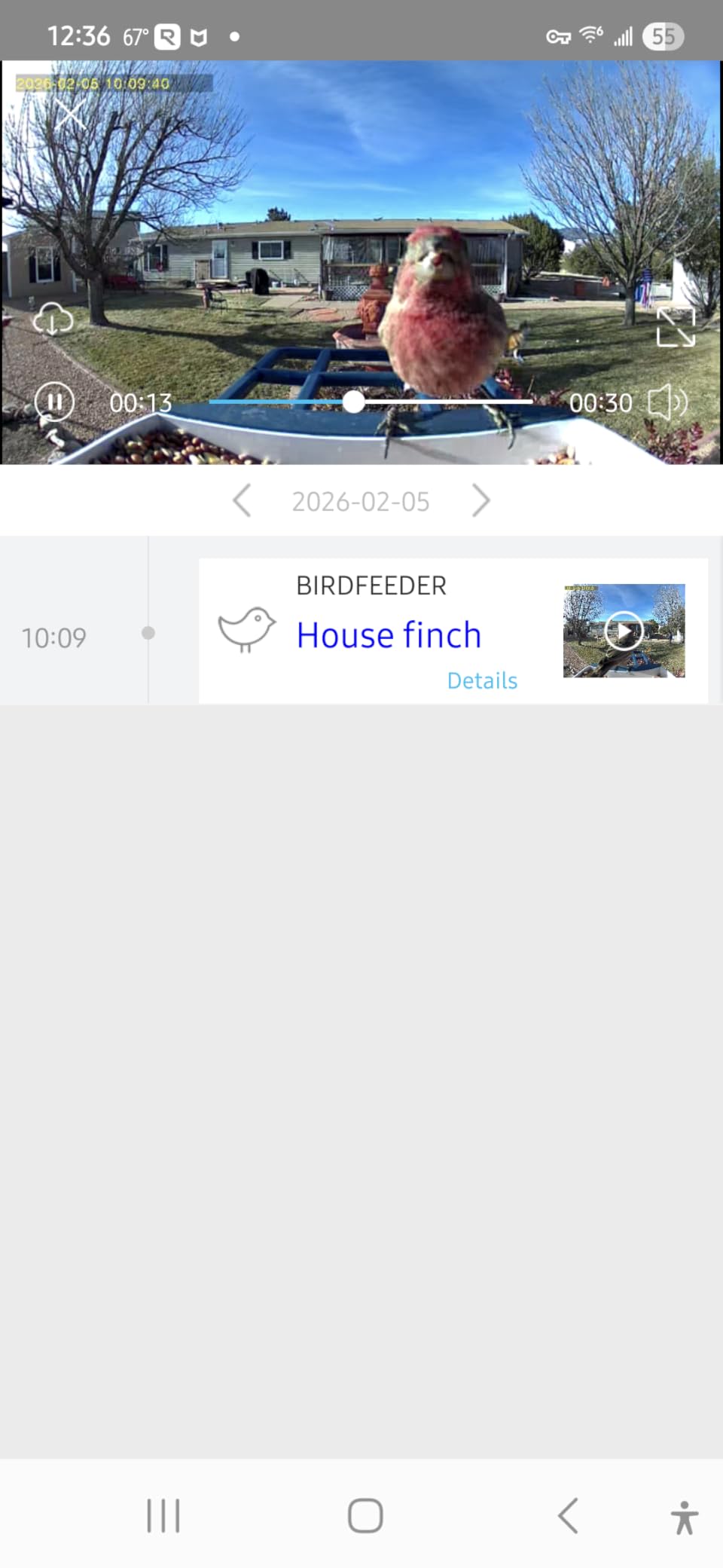 LIWAN Bird Feeder with Camera Solar Powered, 1 Year Trial AI Identify, 2K Live Video, Smart Bird Feeder Camera Wireless Outdoors, 2.4GHZ WiFi, Instant Arrival Alerts, Ideal Gift for BirdLovers customer photo 2