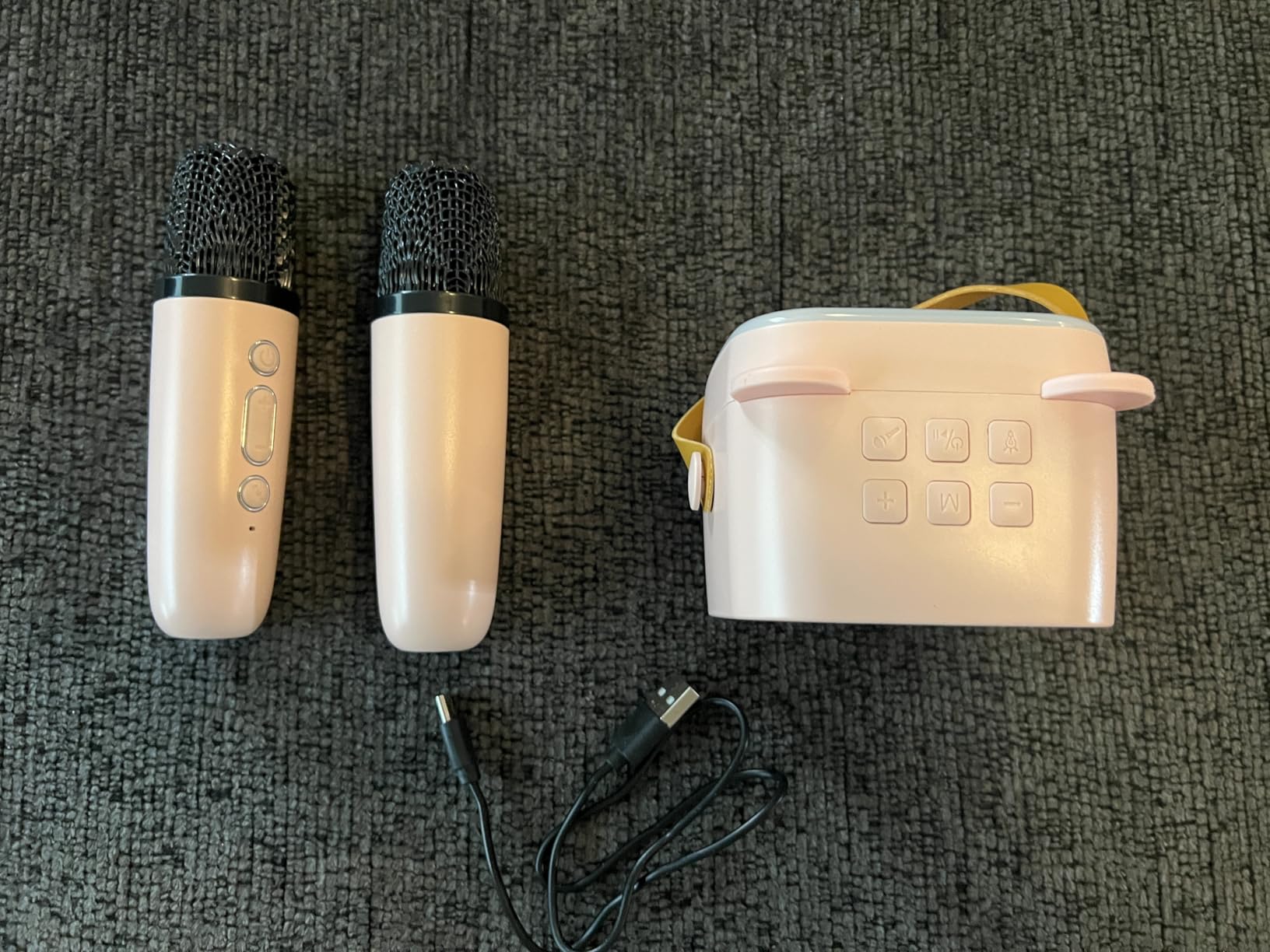 Smart Karaoke Machine for Adults-with Lyrics Display, 13.3