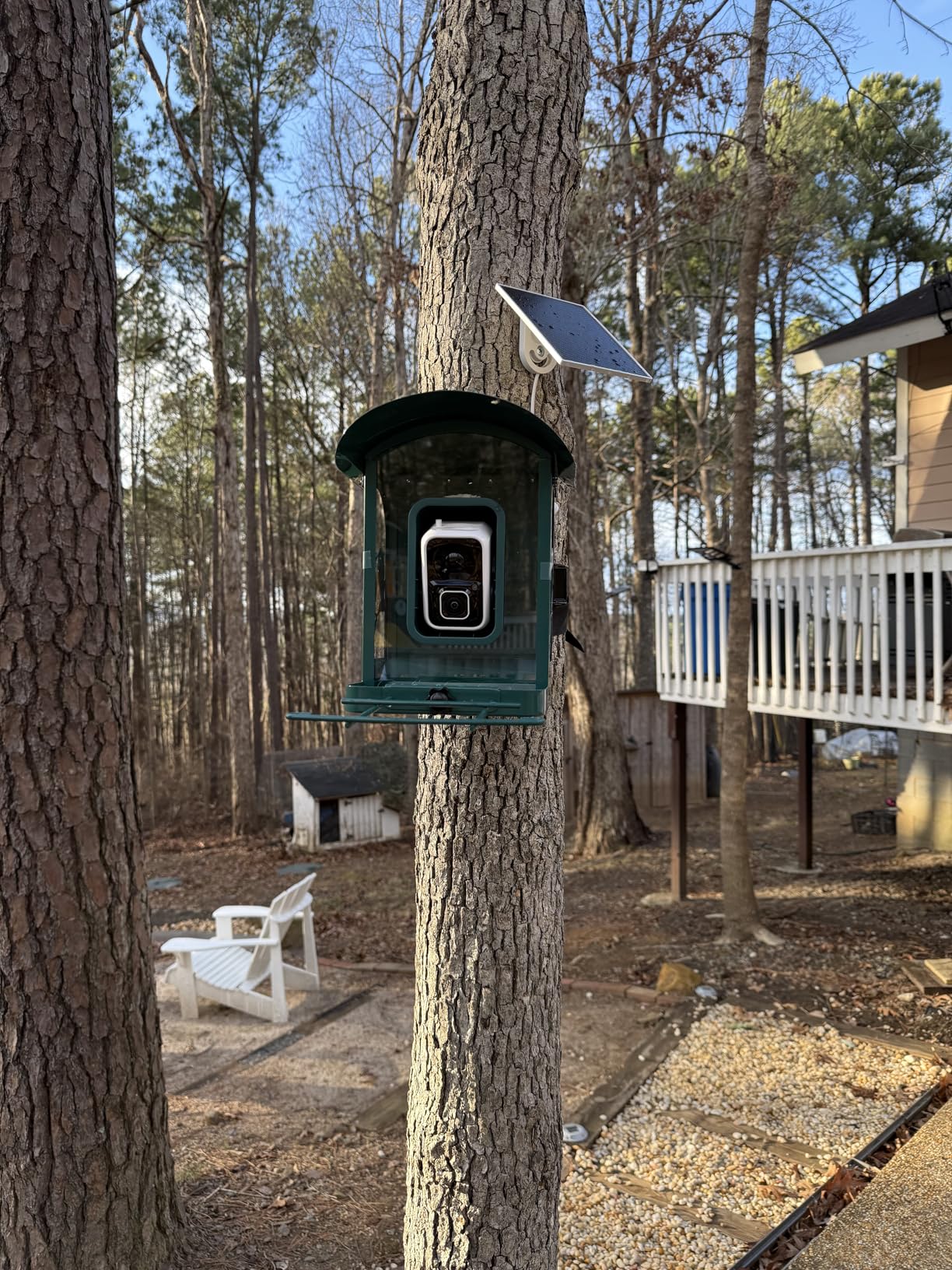 Bird Feeder with Camera, 4K Ultra HD Video with 30fps Live View, 10x Slow Motion, No Subscription, Solar Powered AI Smart Bird Feeder with Camera, 2.4G/5G Wi-Fi, Durable Metal,Bird Lover Gift customer photo 1