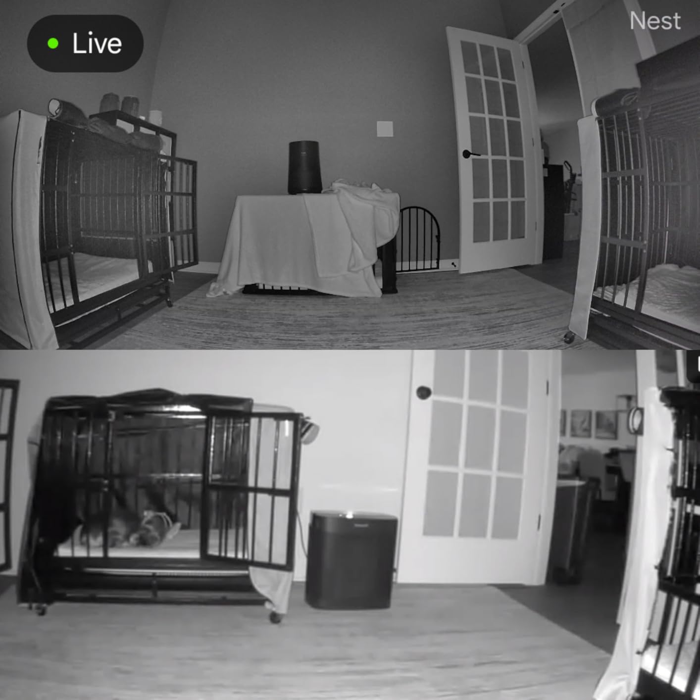 Google Nest Cam Indoor (Wired, 3rd Gen) - Security Camera with 2K Video and Gemini, Night Vision, 2-Way Audio, Works with Google Home - 2025 Model - Snow customer photo 1