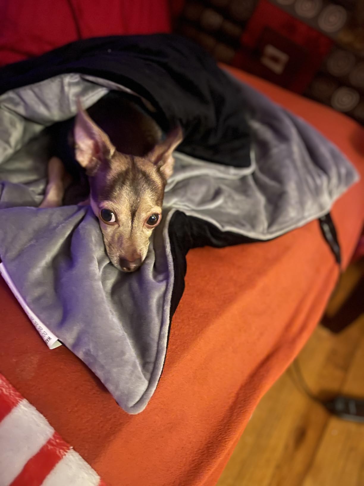 KozyOne Weighted Premium Heating Pad - Far Infrared & Negative Ion Therapy for Pain Relief in Back, Neck, Shoulders, Knees, 4 Heat Settings, Auto-Off, Machine Washable (12