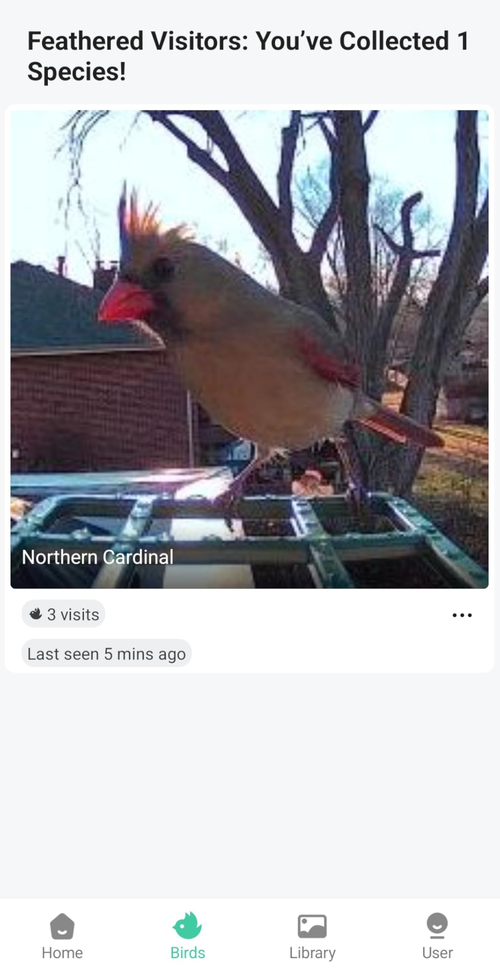 Bird Feeder with Camera AI Identify 2K Live Video Smart Bird Feeder with Camera, 2.4GHZ WiFi Solar Birds House Cameras, Motion Detection Instant Arrival Alerts, Ideal Present for Birds Lovers customer photo 1