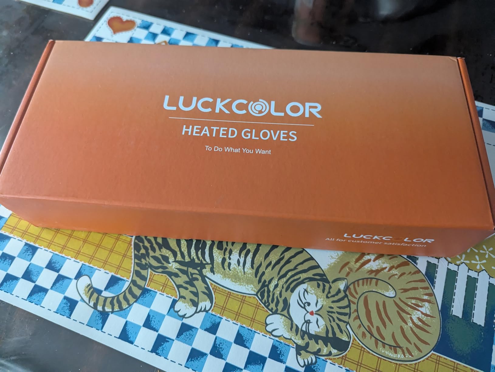 Heated Gloves for Men Women, Rechargeable Waterproof Heated Work Gloves with Arthritis Raynaud's Relief customer photo 1