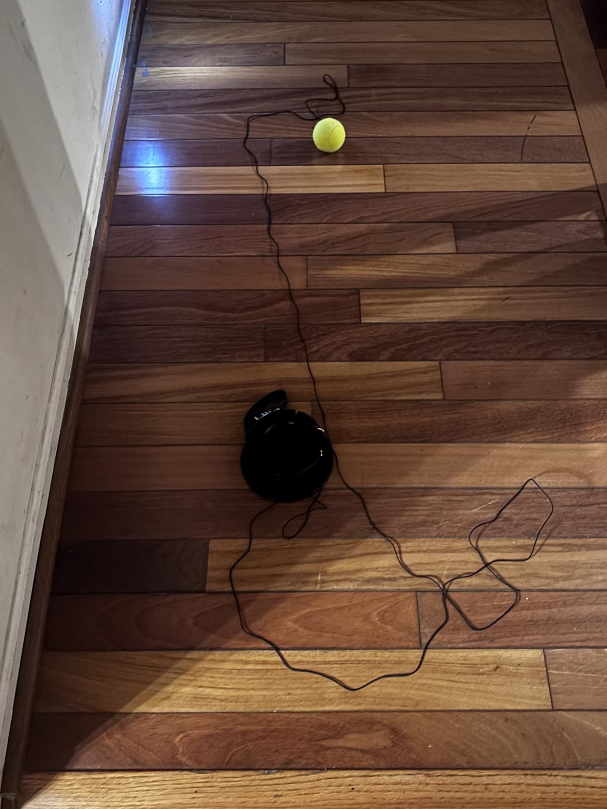 VAIIO Professional Tennis Trainer - Full Metal Portable Solo Rebounder with 3 High-Elastic String Balls, Ideal for Adults, Kids, Beginners & Advanced Players customer photo 2