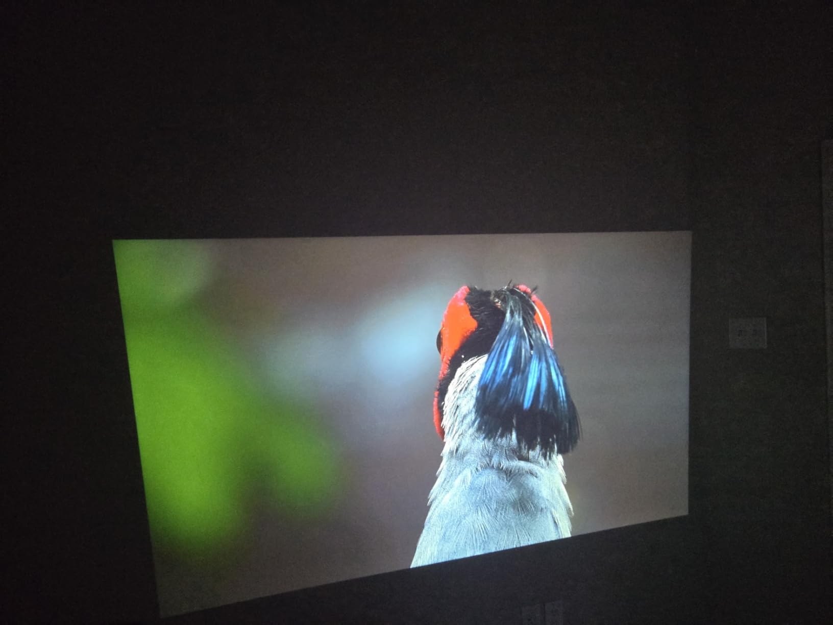 [2200ANSI & Officially-Licensed APP] Smart 4K Projector with WiFi and Bluetooth, VISSPL 3D Dolby Audio and Auto Focus Portable Outdoor Projector, Movie Home Theater Proyector with 360° Adjustable Stand customer photo 1