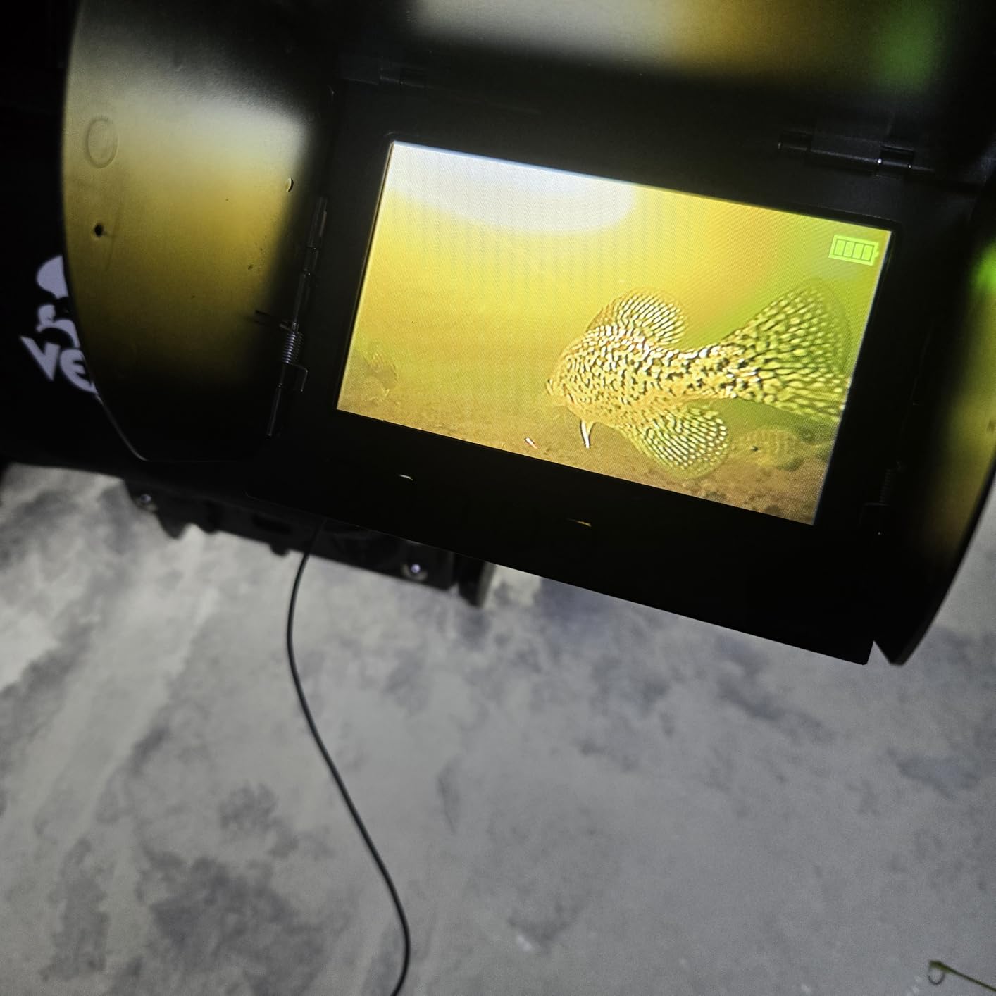 Underwater Fishing Camera, 4.3 Inch LCD, Infrared Night Vision, Wide Angle IP68 Waterproof Portable Fish Camera for Ice, Lake, Boat & Kayak Fishing (Black) customer photo 1