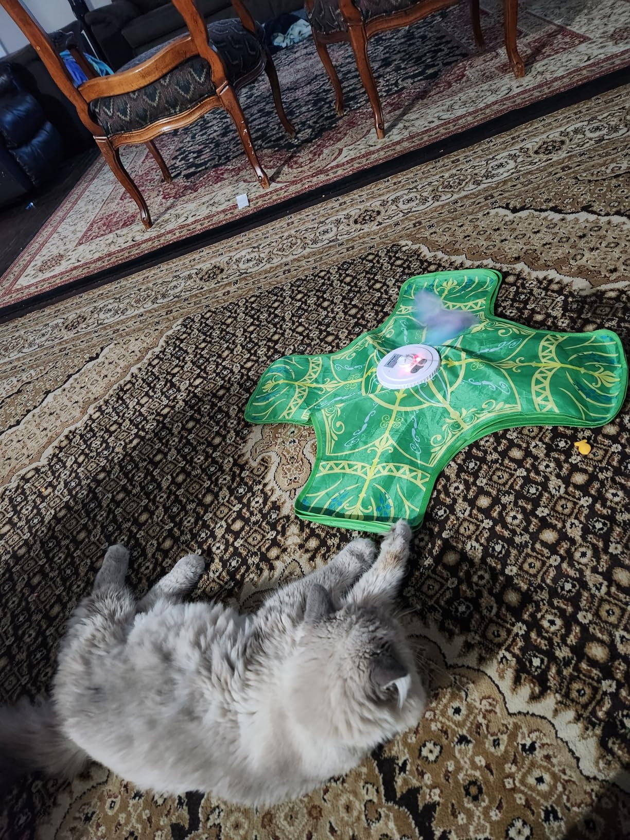 Interactive Cat Toys for Indoor Cats,[Newly Upgraded] Rechargeable Touch Activated Hide and Seek Kitten Toys for Bored Indoor Adult Cats with Fluttering customer photo 2