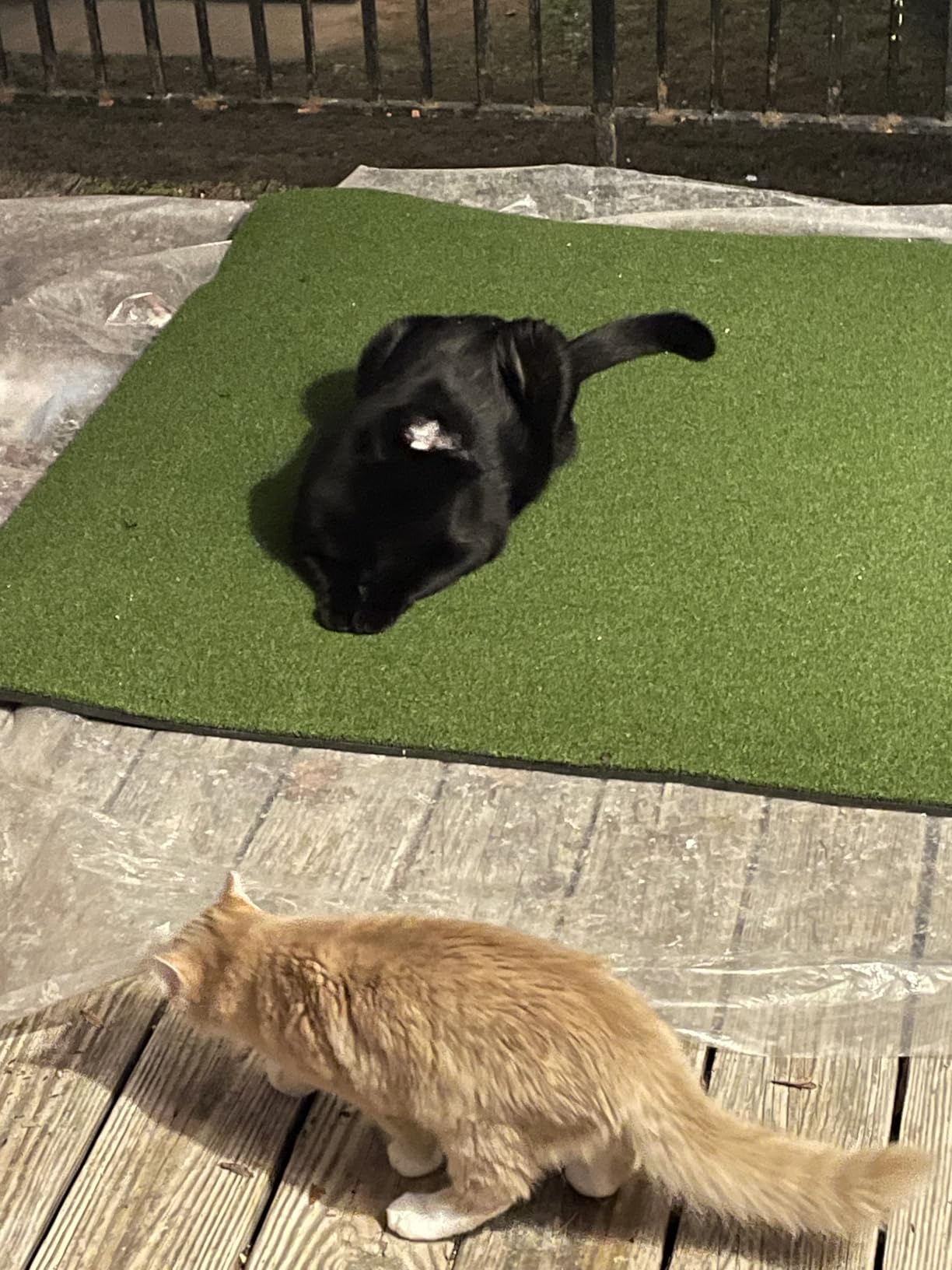 Golf Mat, 5x4ft/6x4ft Large Golf Hitting Mats for Practice Outdoor Indoor, 26mm Thick, High-Elasticity Artificial Turf Mat for Garage Simulator Chipping Driving Swinging Training, Gifts for Him Men customer photo 2