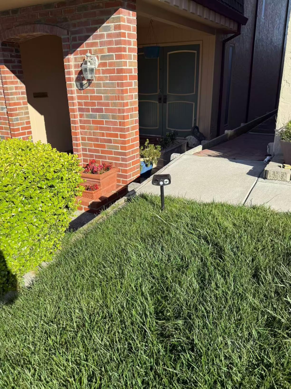 Solar Animal Repeller Outdoor, Motion Activated Ultrasonic Pest Deterrent with LED Light, Waterproof Repellent for Yard Garden, Raccoon Squirrel Rabbit Cat Dog, 2 Pack customer photo 1