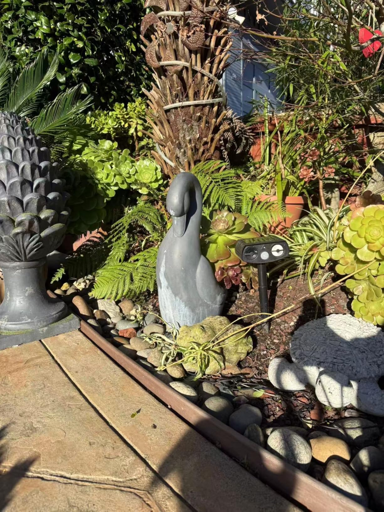 Solar Animal Repeller Outdoor, Motion Activated Ultrasonic Pest Deterrent with LED Light, Waterproof Repellent for Yard Garden, Raccoon Squirrel Rabbit Cat Dog, 2 Pack customer photo 2