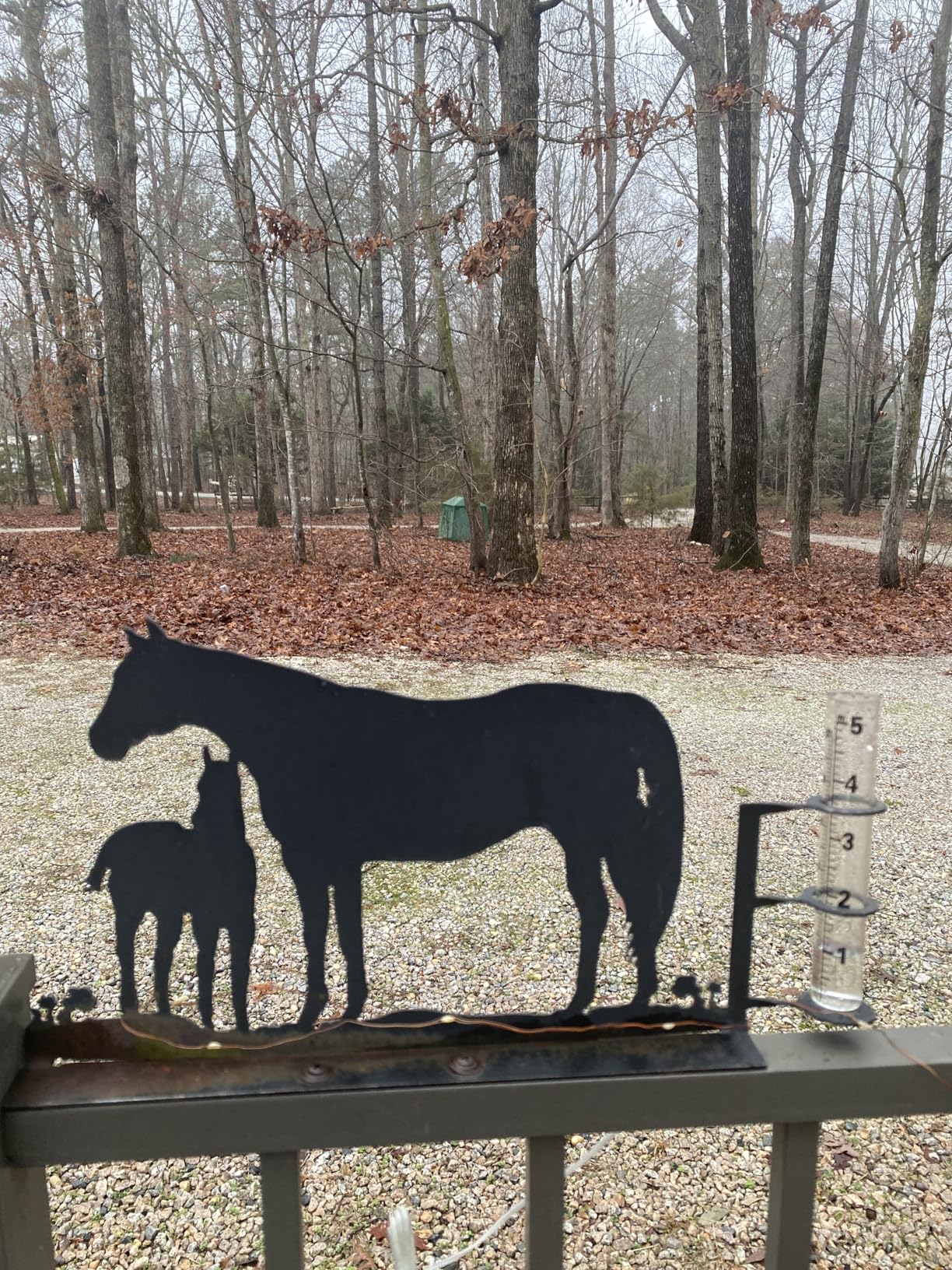 Digital Wireless Rain Gauge Outdoor, Home Weather Station Wireless Indoor Outdoor with Self-Emptying Rain Gauge, Thermometer, Barometer, Hygrometer, Atomic Clock, Weather Forecast and Alerts customer photo 1