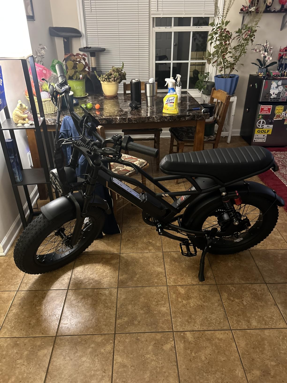 Electric Bike for Adults Teens, 3000W/2000W Peak, 20
