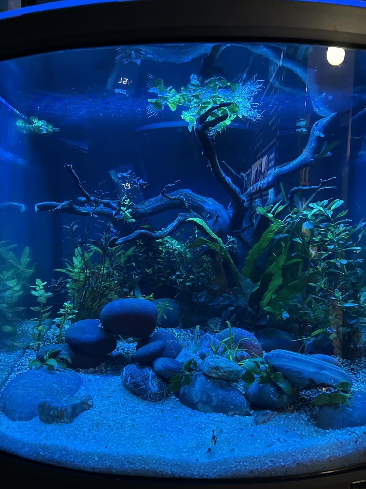 Pawfly Aquarium Light for Plants, 20 W Bluetooth Fish Tank Light, Full Spectrum Aquarium Lights for 18