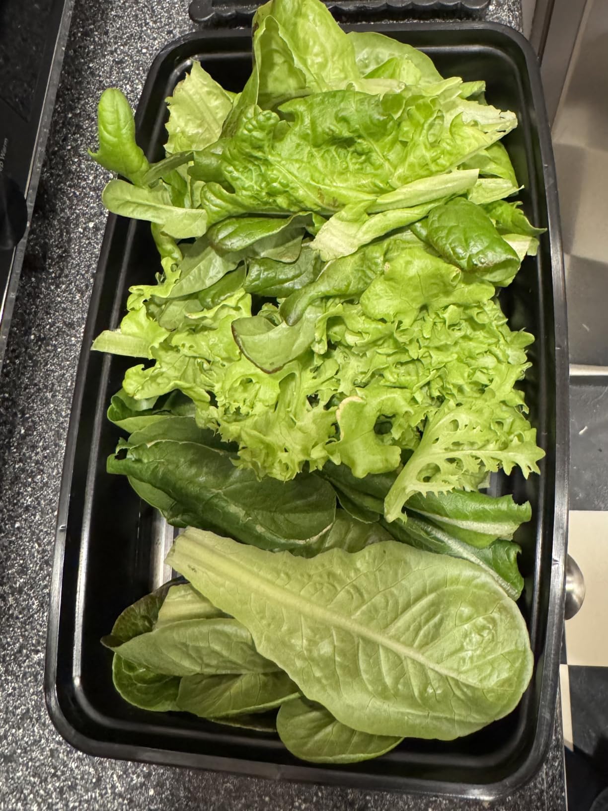 Gardyn Home 4 Vertical Hydroponics Growing System Kit - 30 Non-GMO Plants, Herbs, Vegetables - Smart Tower Garden Hydroponic Herb Garden Planter Indoor Kit - Indoor Gardening System w/LED Grow Lights customer photo 1